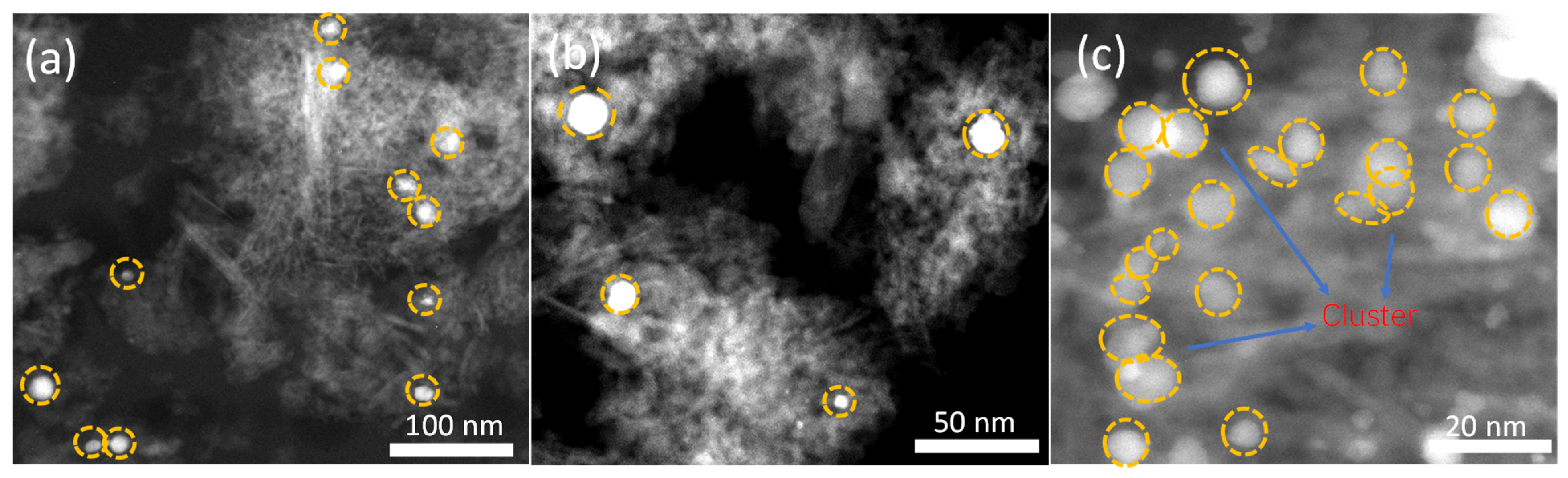 Catalysts 14 00637 g005 Catalysts 14 00637 g005