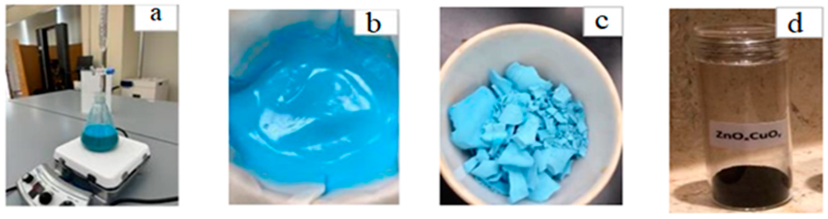 Catalysts 14 00641 g001