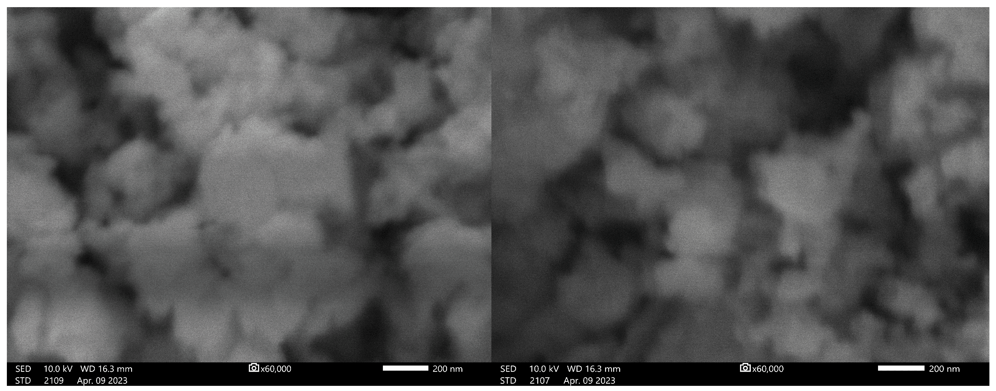 Catalysts 14 00641 g002