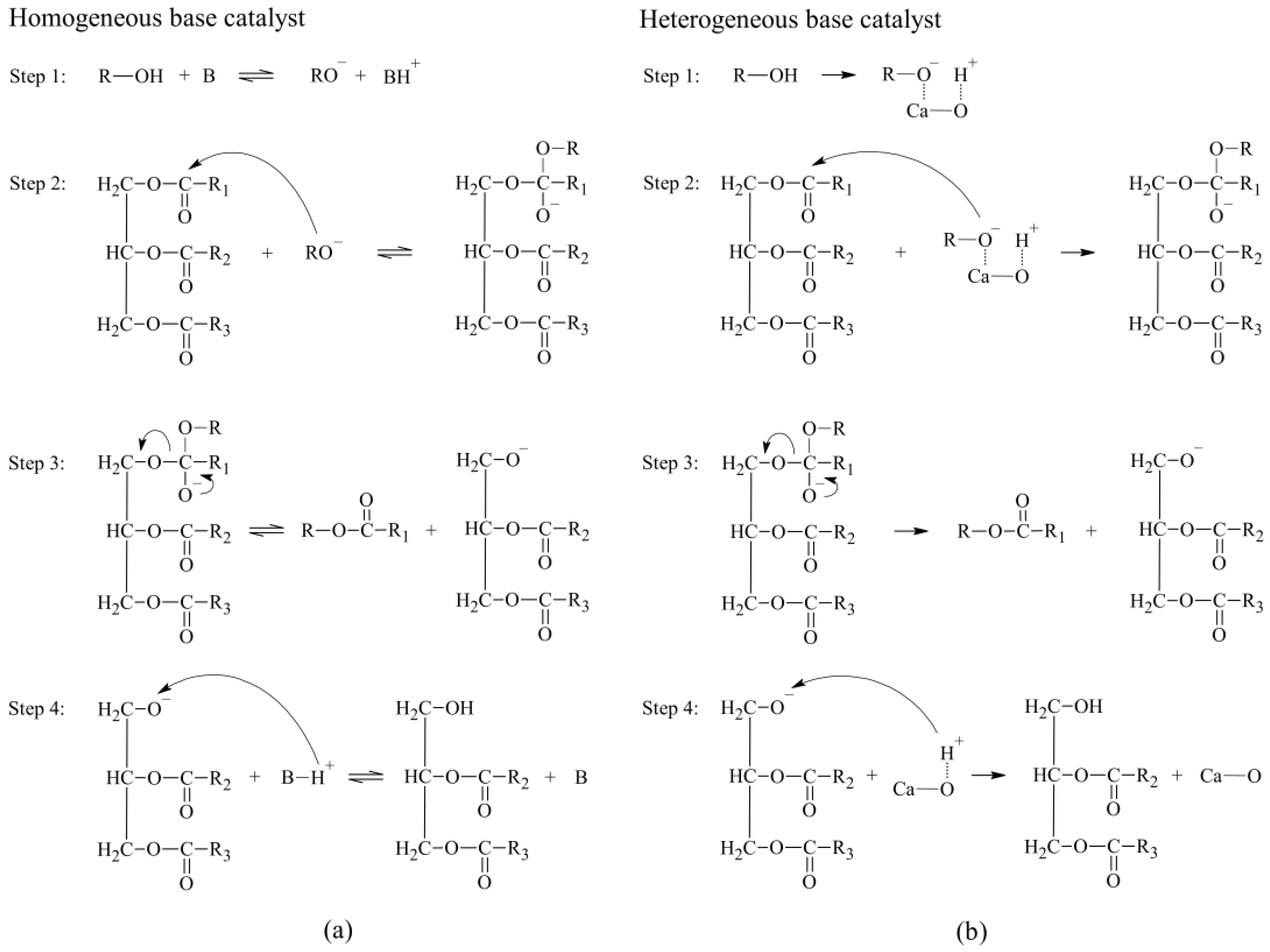 Catalysts 14 00647 g001