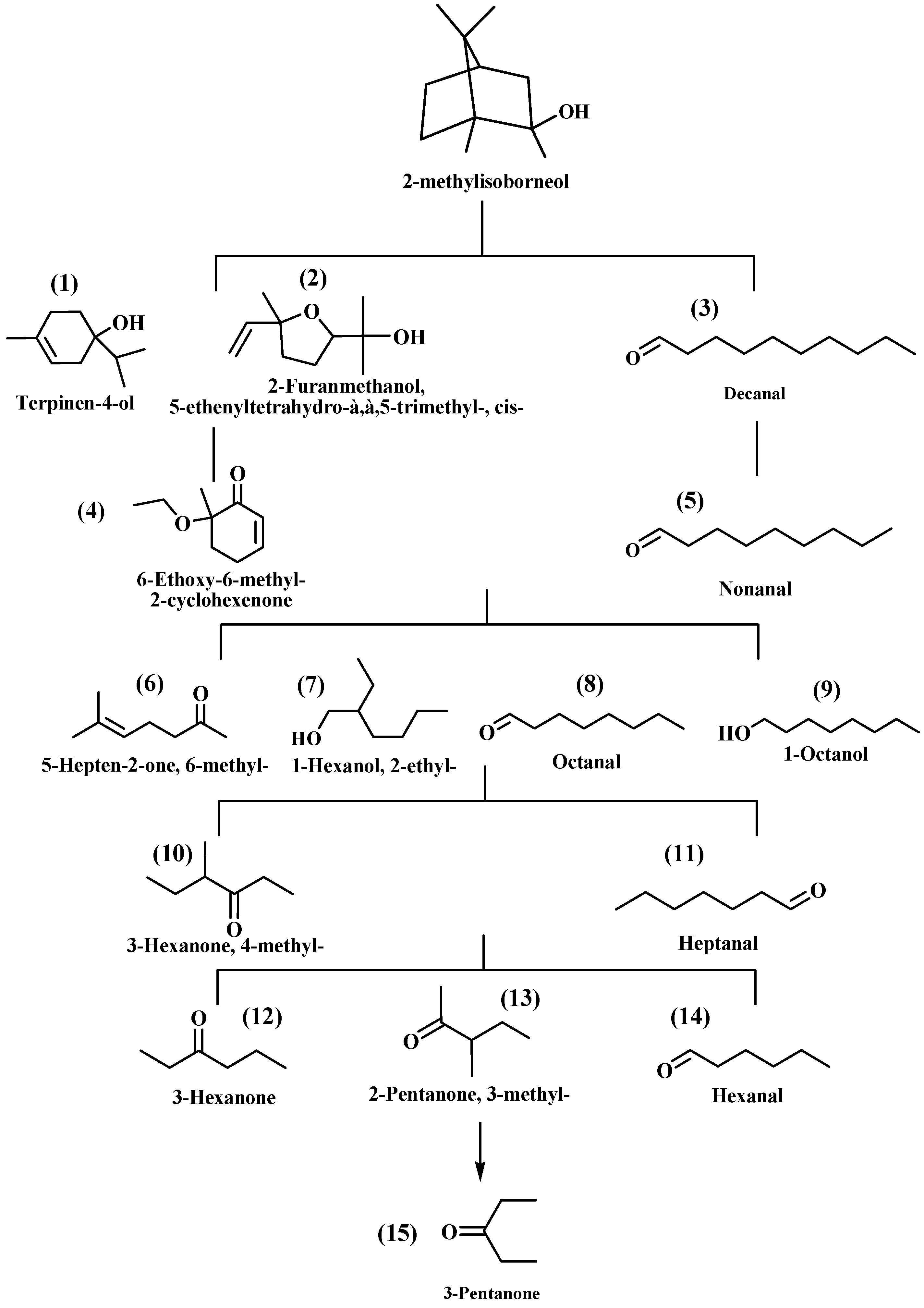 Catalysts 14 00649 g008