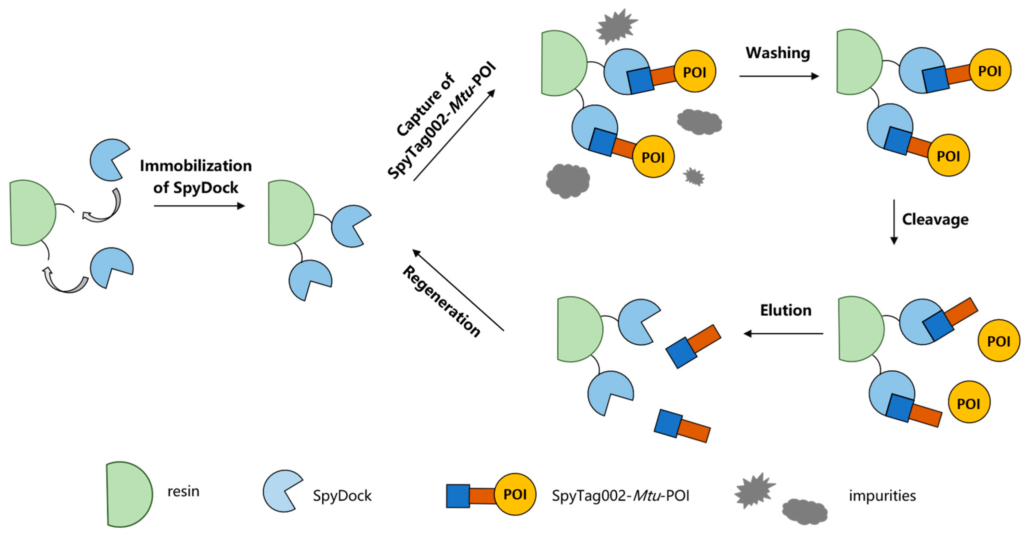 Catalysts 14 00651 g001