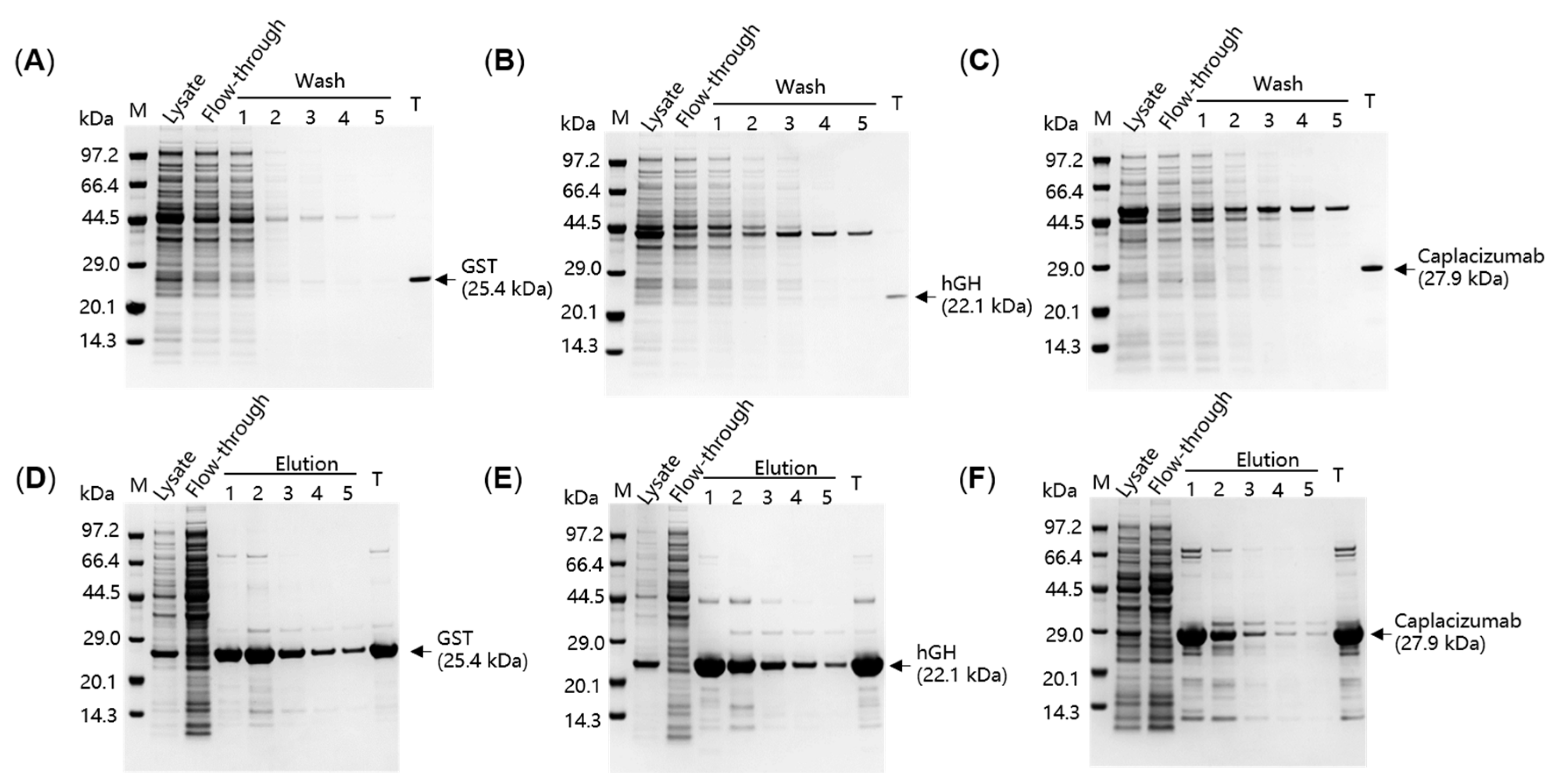 Catalysts 14 00651 g003
