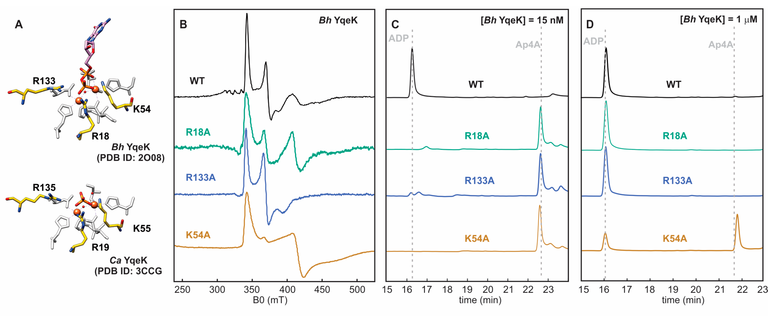Catalysts 14 00652 g007