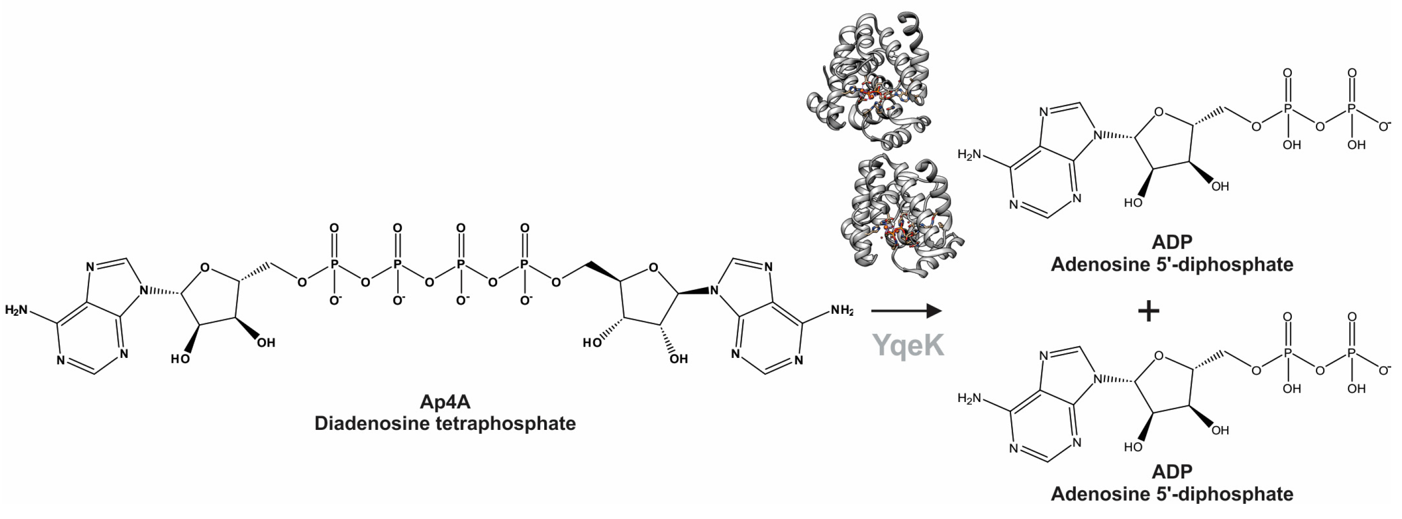 Catalysts 14 00652 sch001