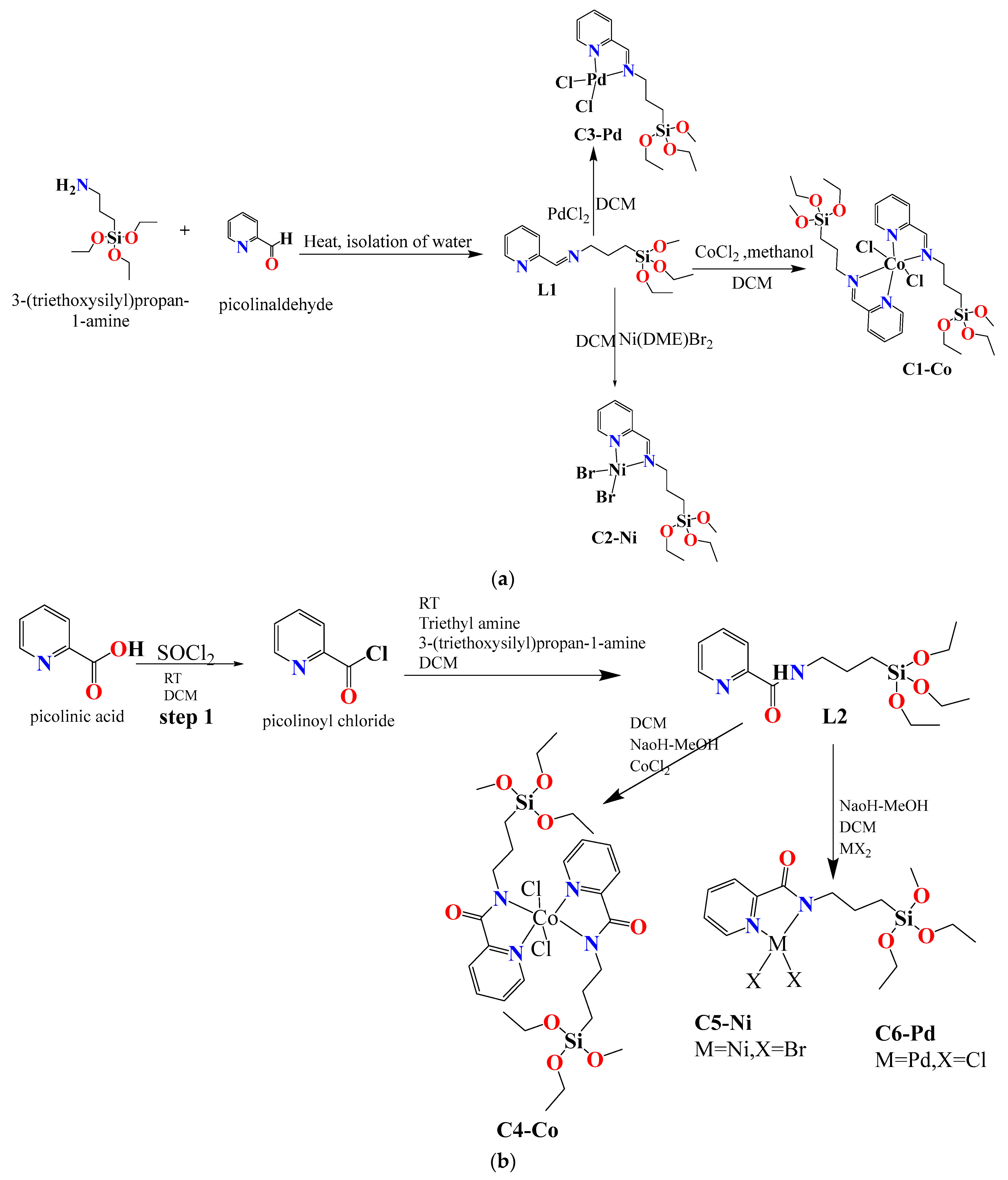 Catalysts 14 00653 sch001 Catalysts 14 00653 sch001