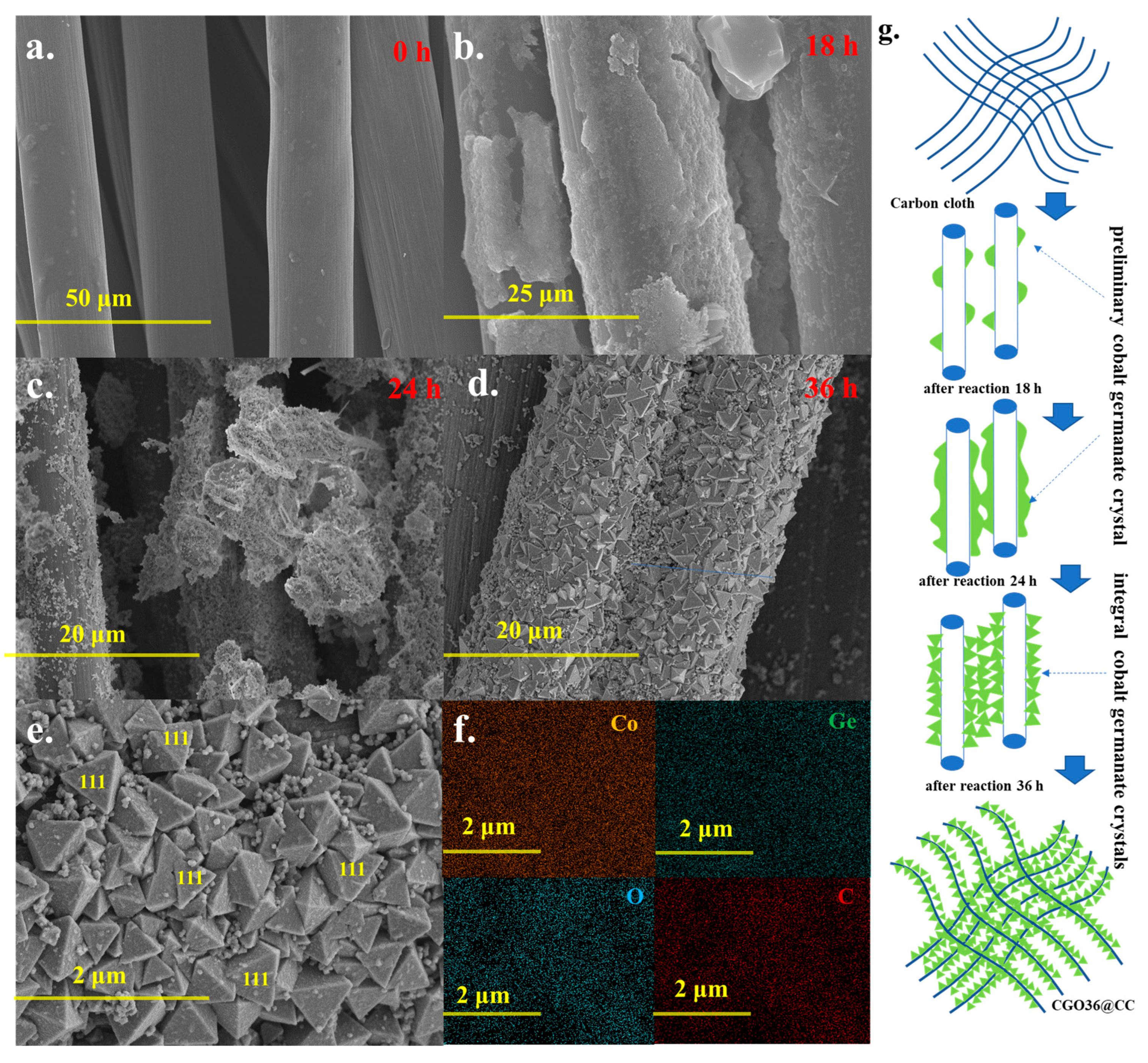 Catalysts 14 00664 g002