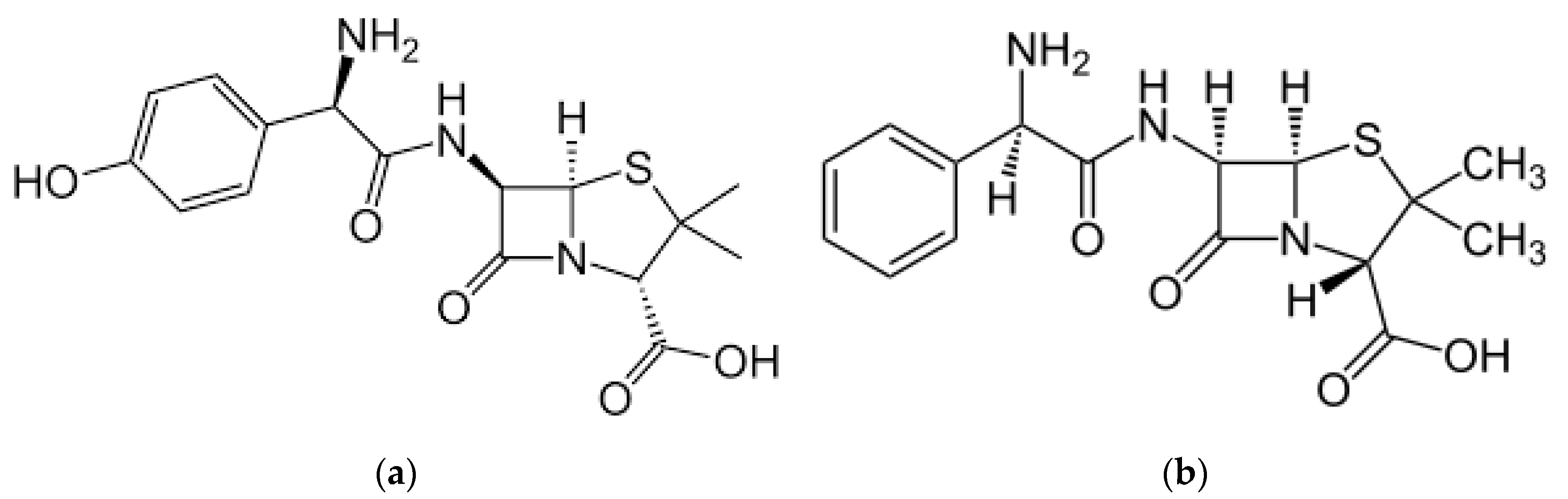 Catalysts 14 00668 g008