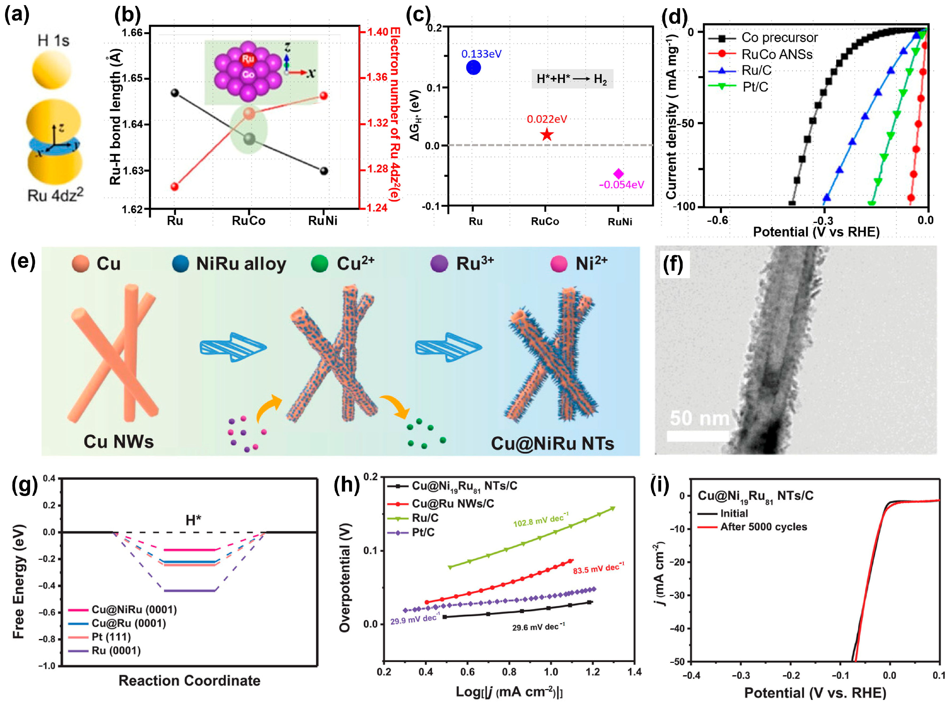 Catalysts 14 00671 g004