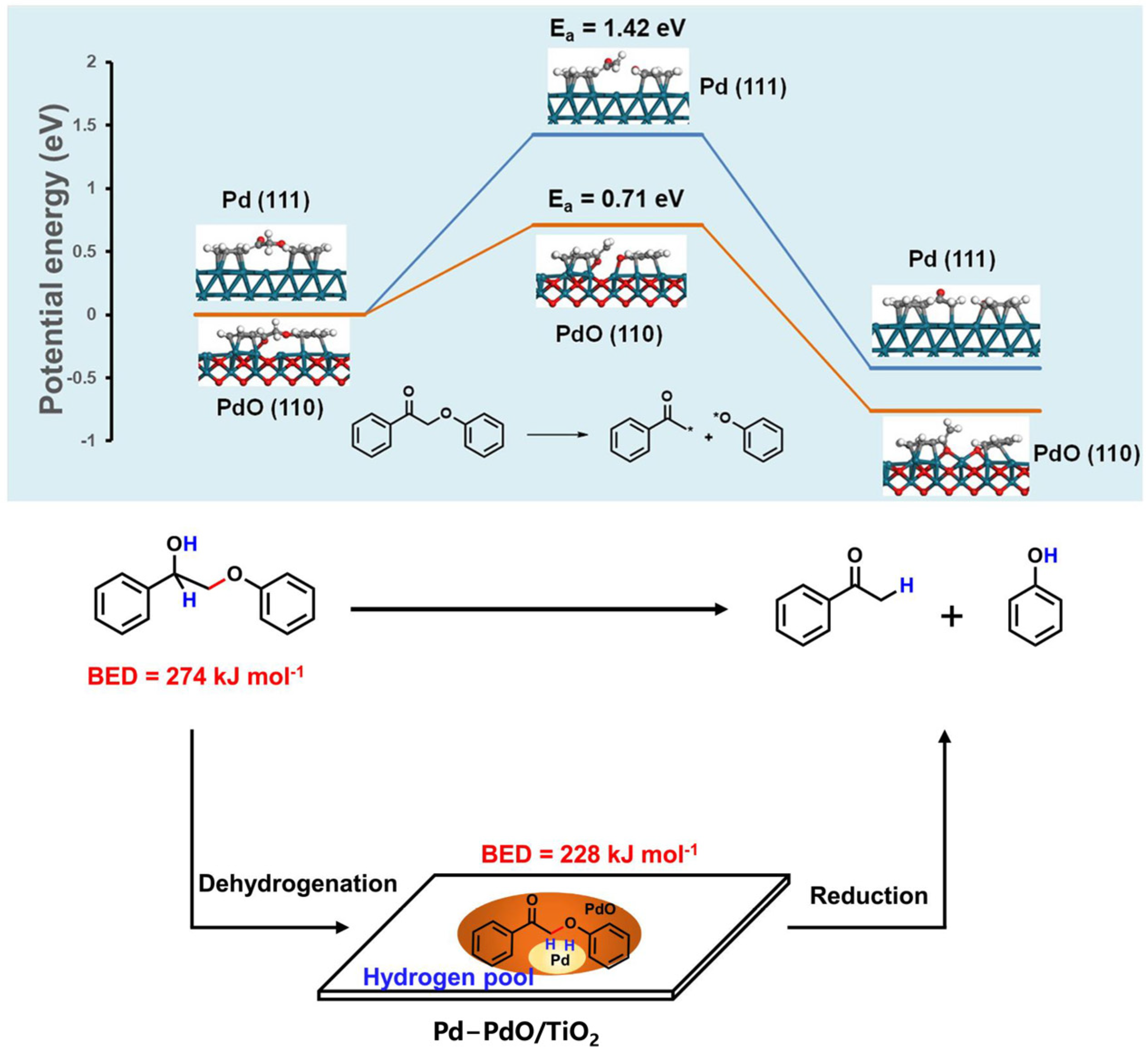 Catalysts 14 00673 g003