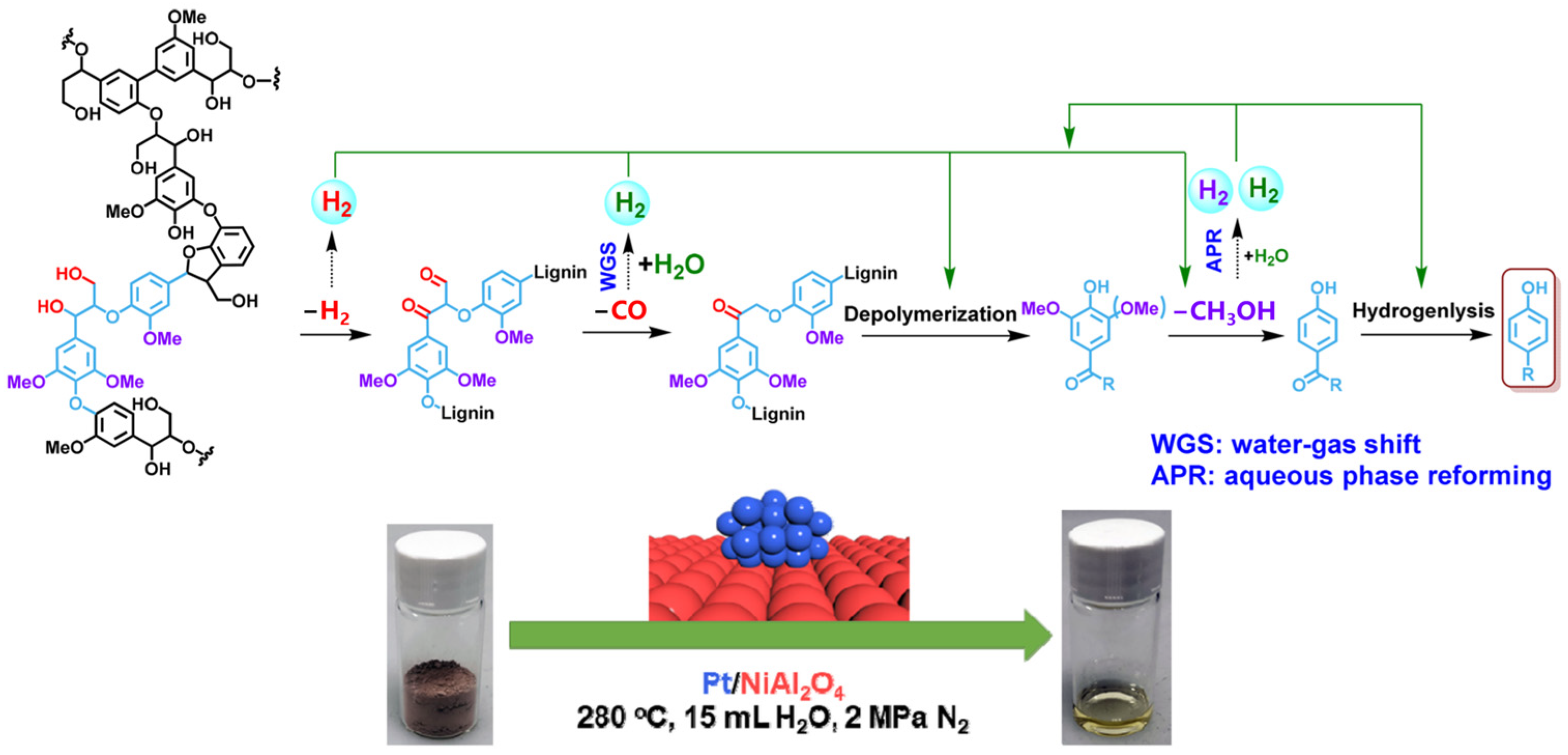 Catalysts 14 00673 g004