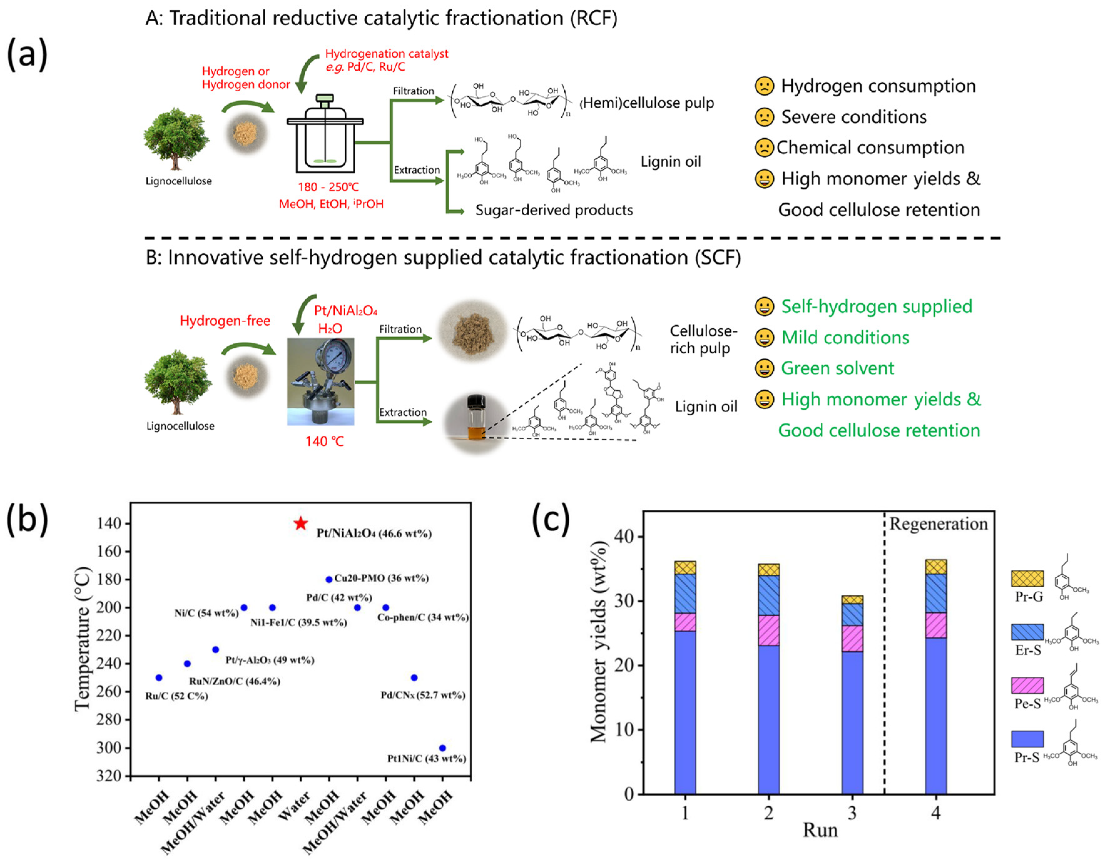 Catalysts 14 00673 g005