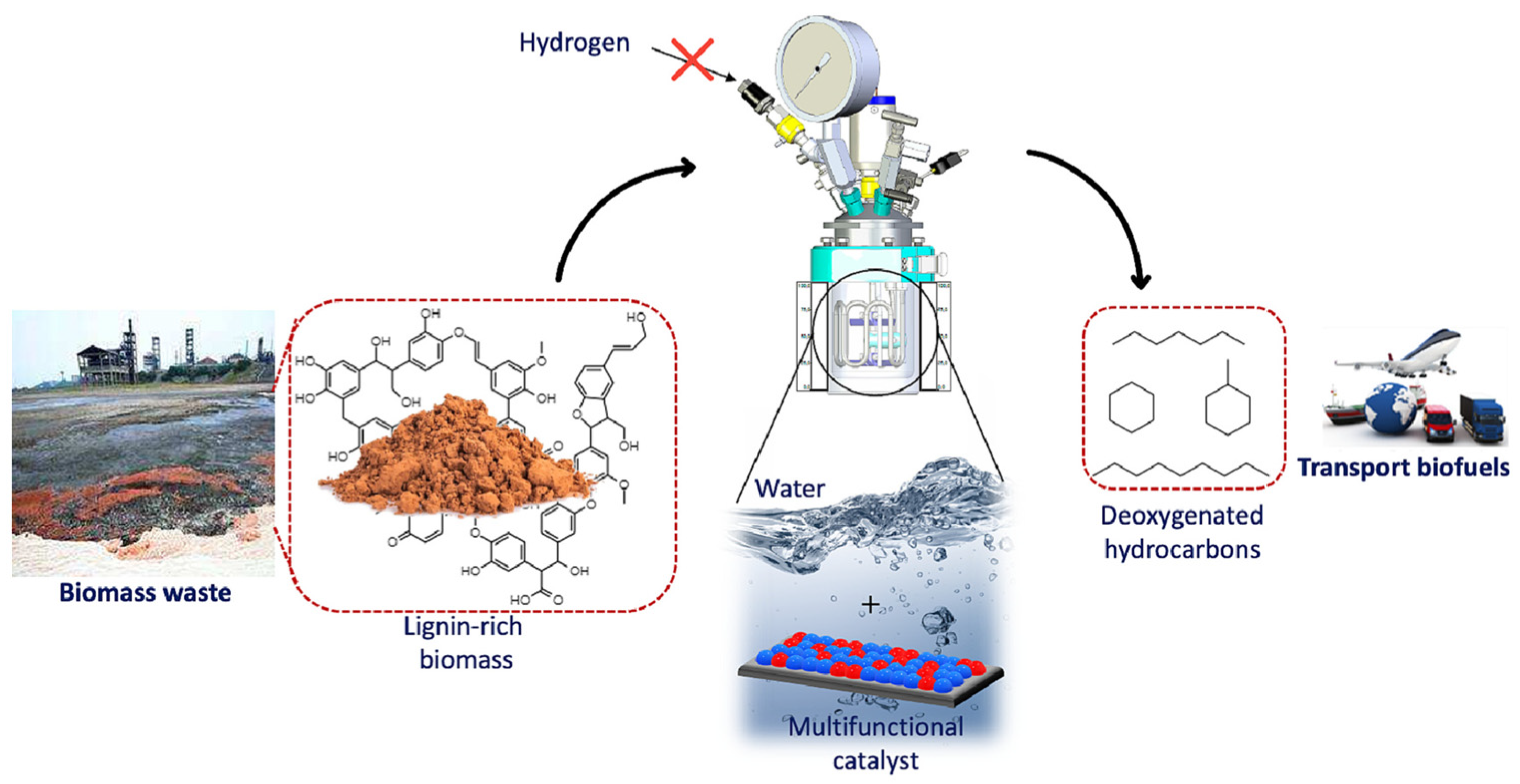 Catalysts 14 00673 g006