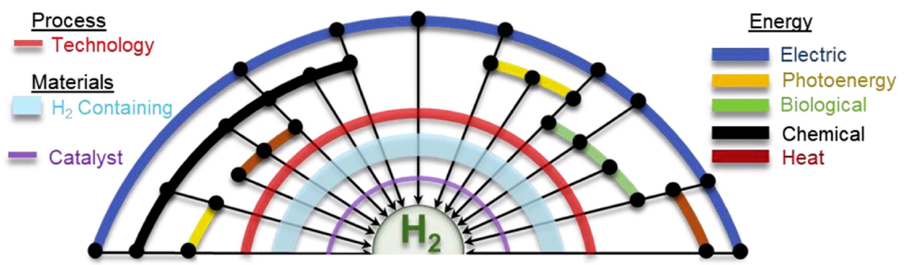 Catalysts 14 00674 g001