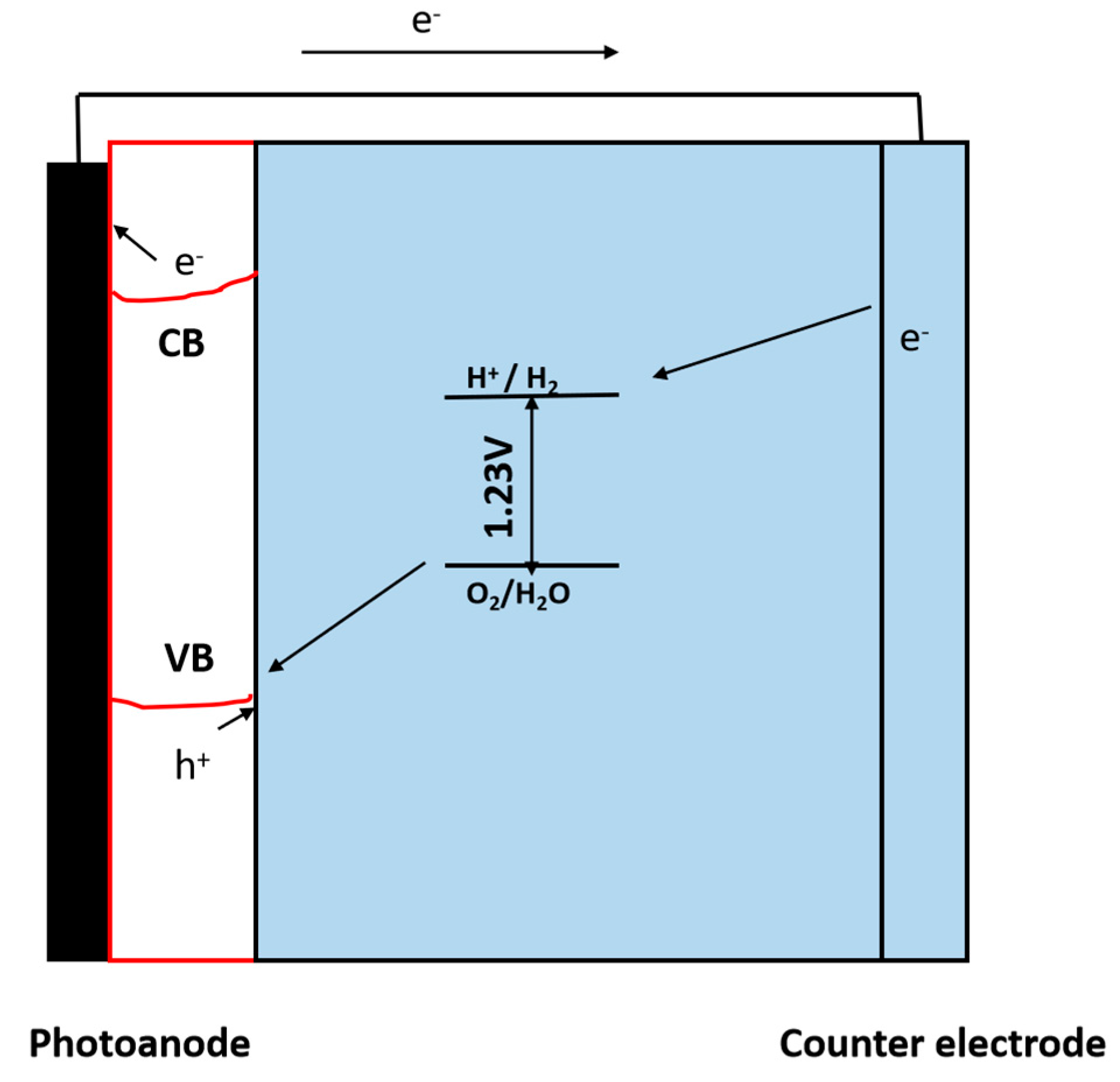 Catalysts 14 00674 g007