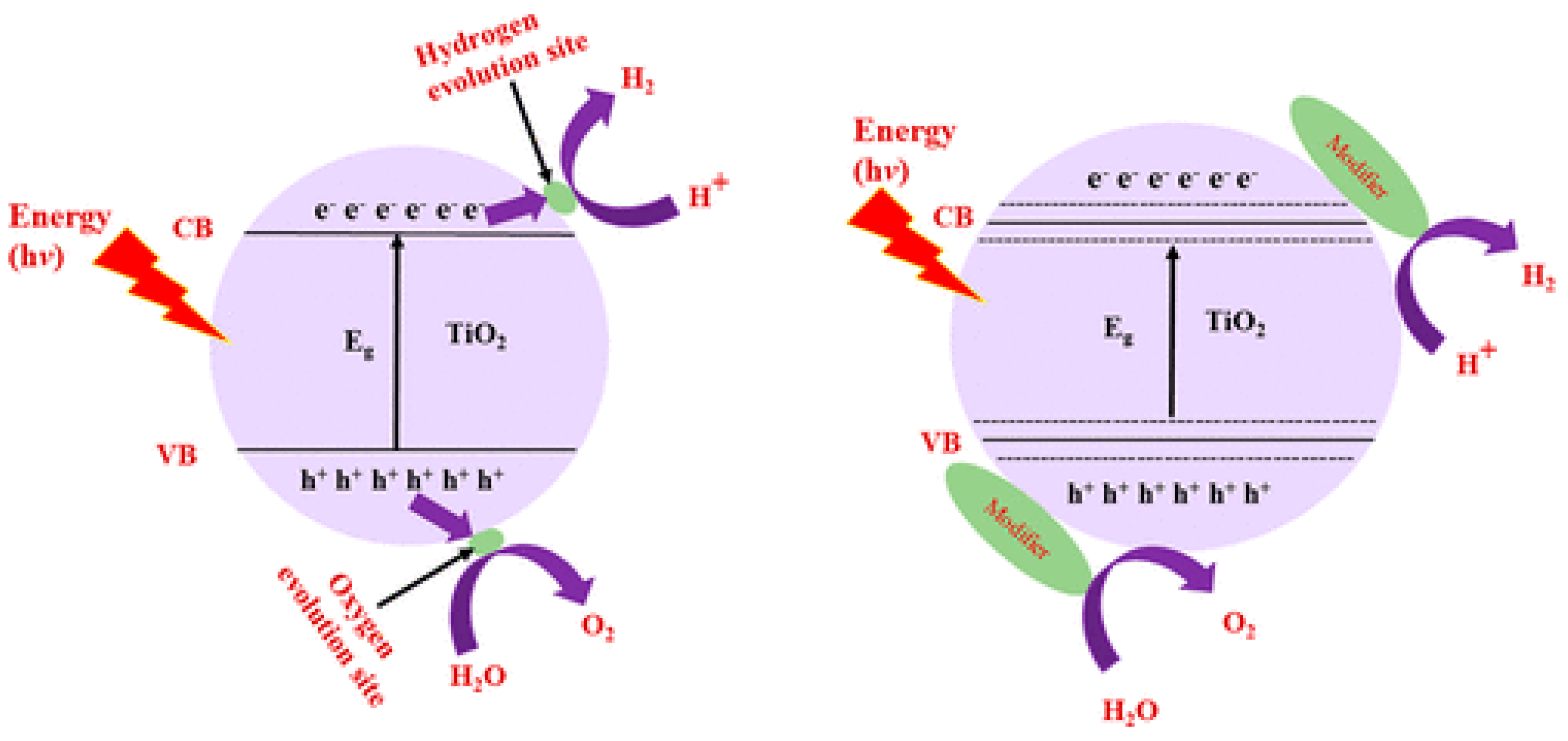 Catalysts 14 00674 g019