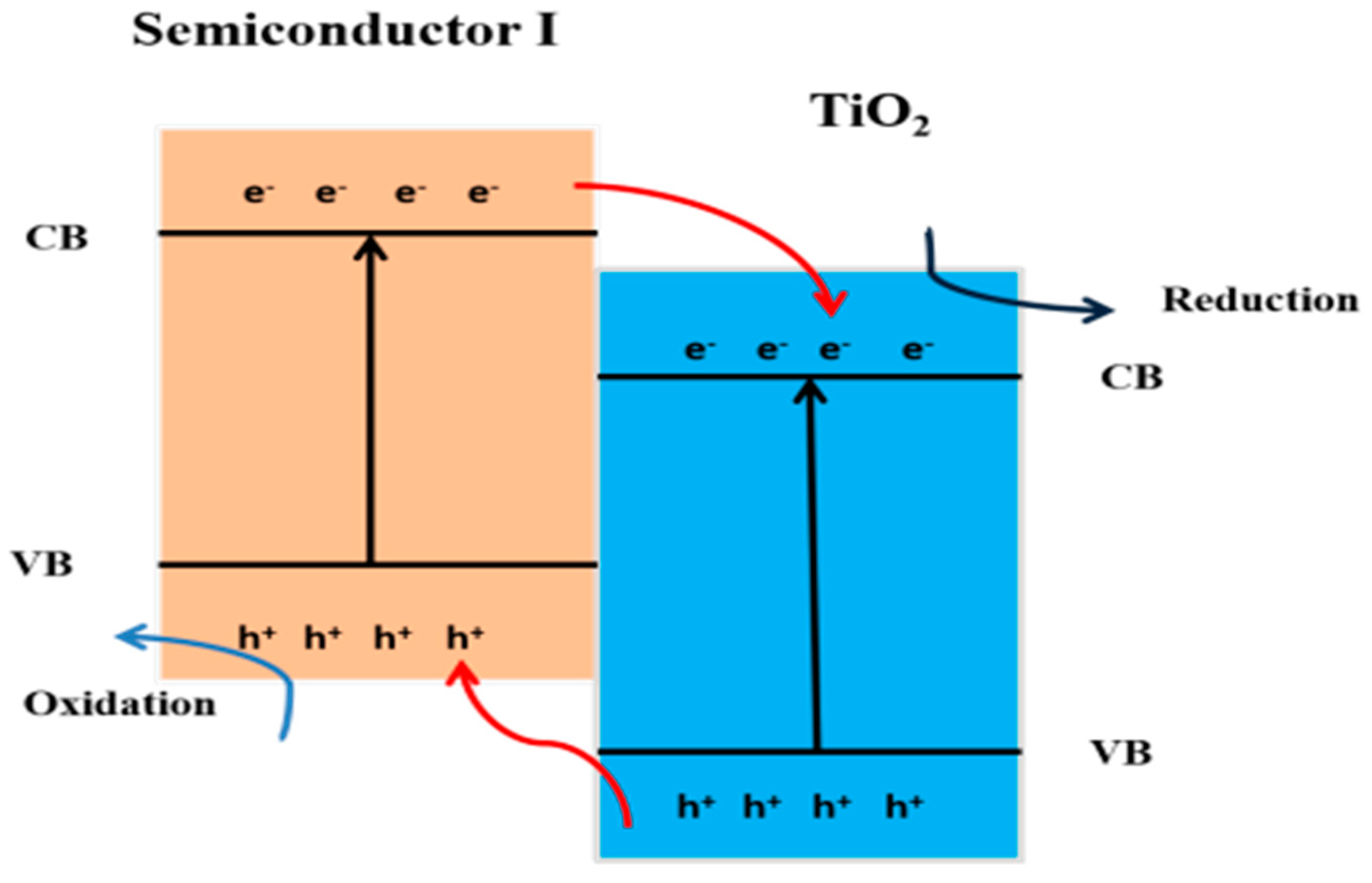 Catalysts 14 00674 g026