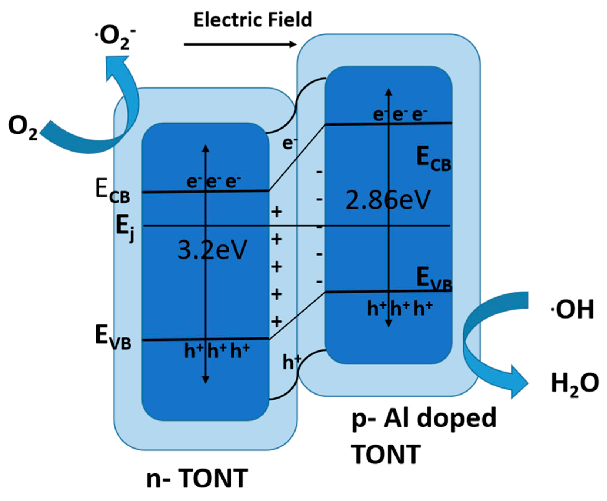 Catalysts 14 00674 g029