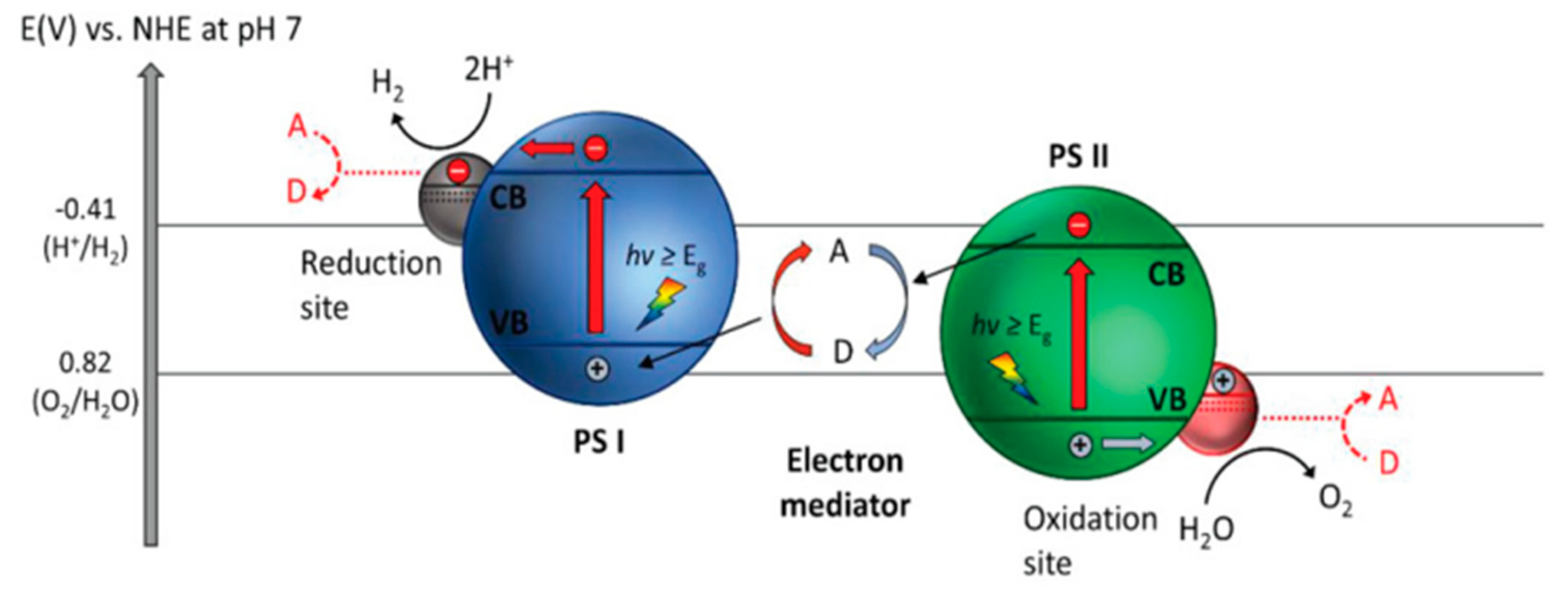 Catalysts 14 00674 g031