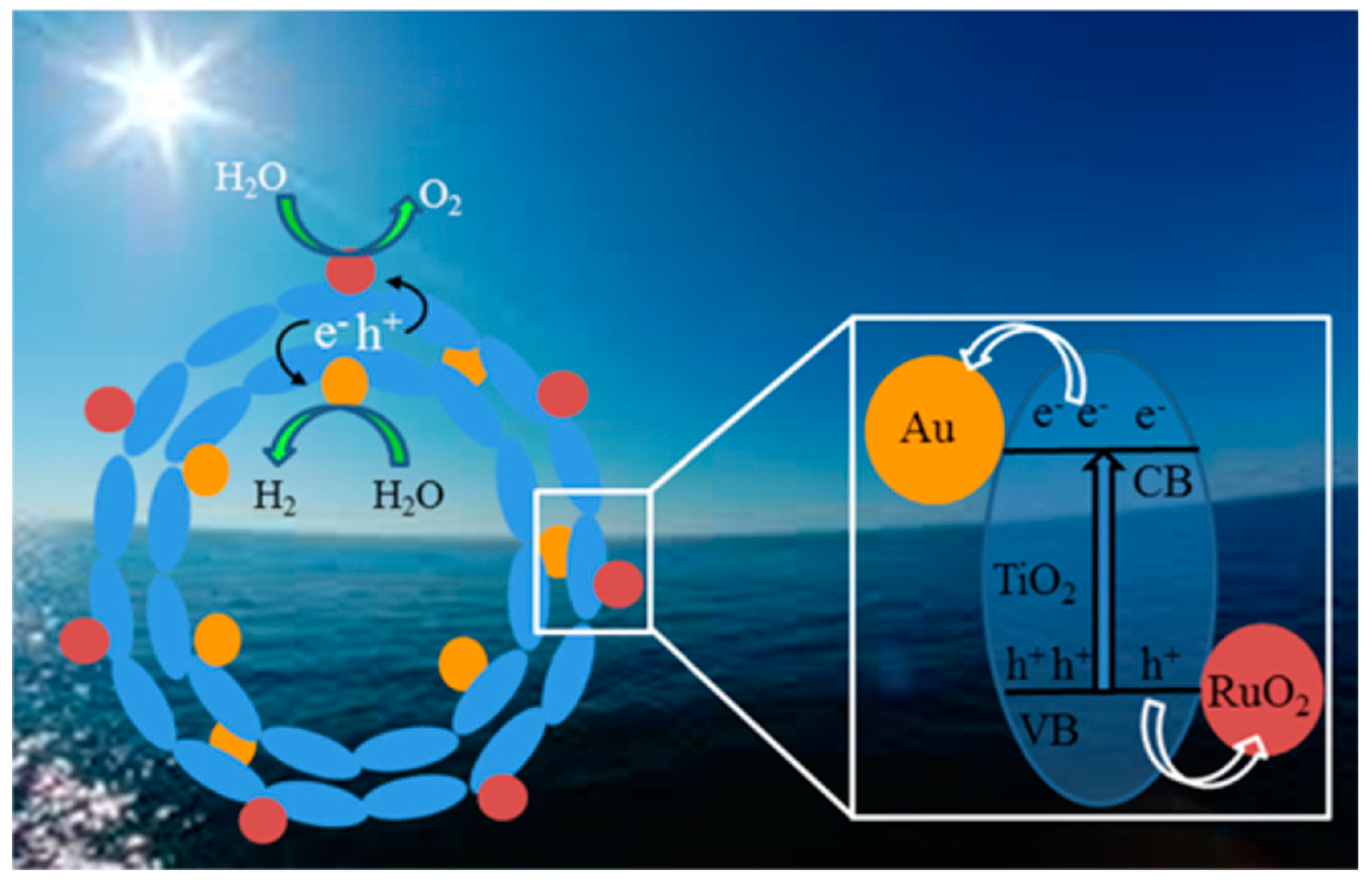Catalysts 14 00674 g033