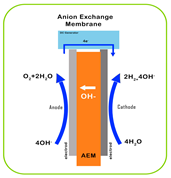 Catalysts 14 00674 i002