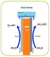 Catalysts 14 00674 i004