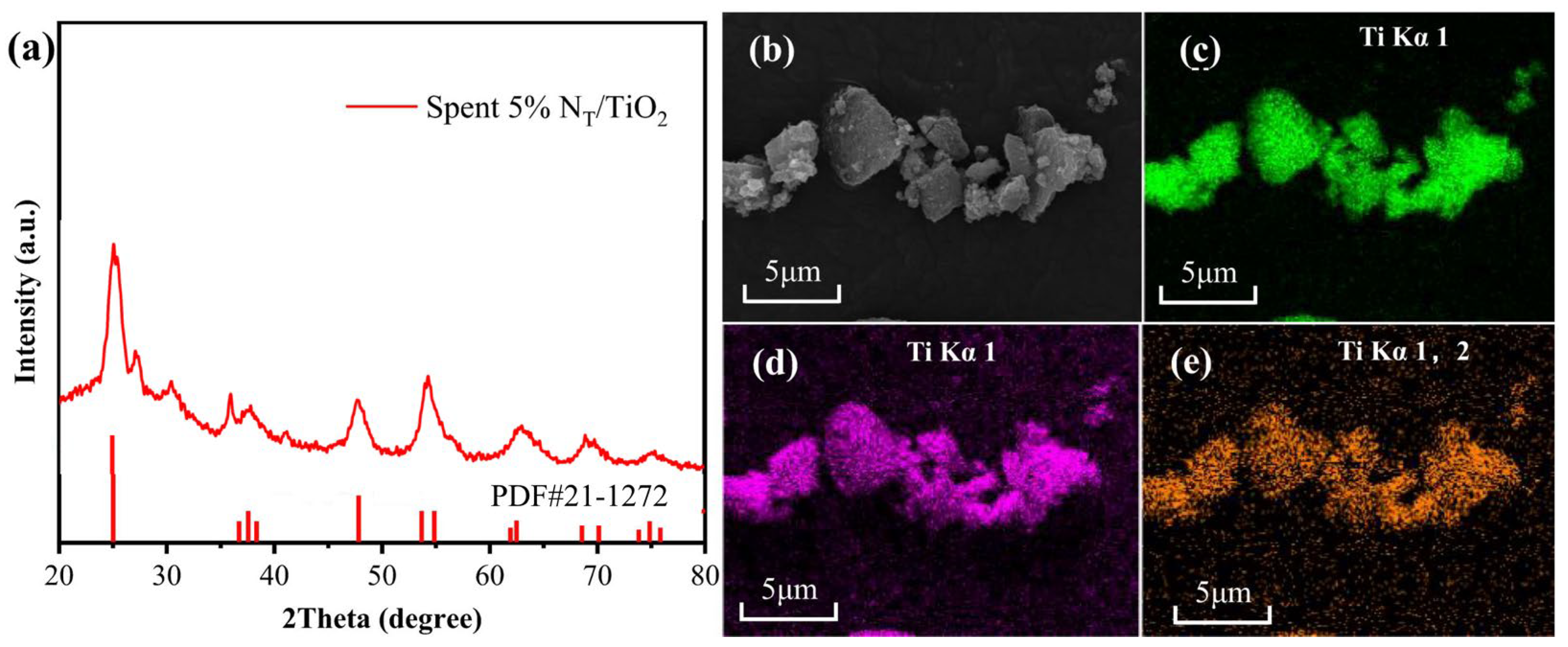 Catalysts 14 00681 g011