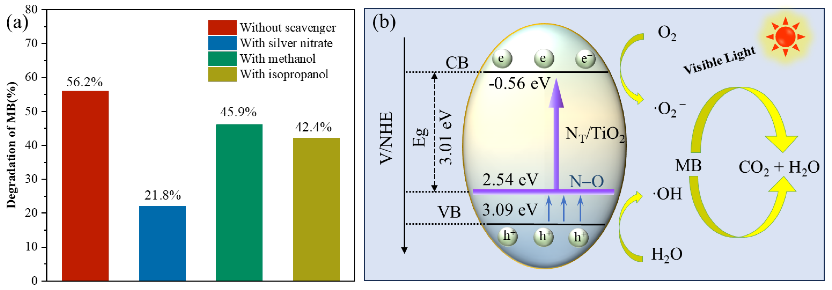 Catalysts 14 00681 g012