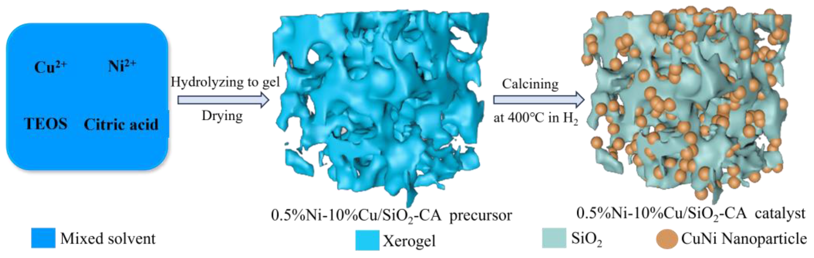 Catalysts 14 00683 g001