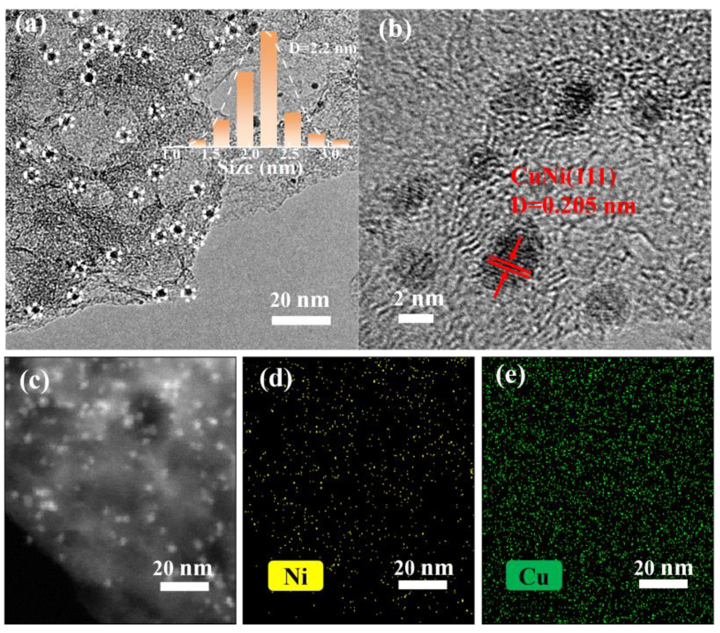 Catalysts 14 00683 g003