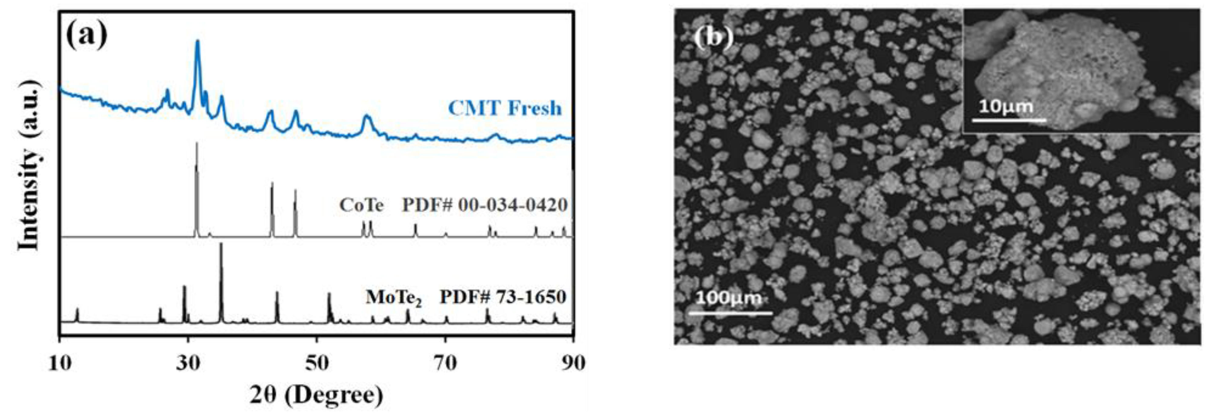 Catalysts 14 00684 g001