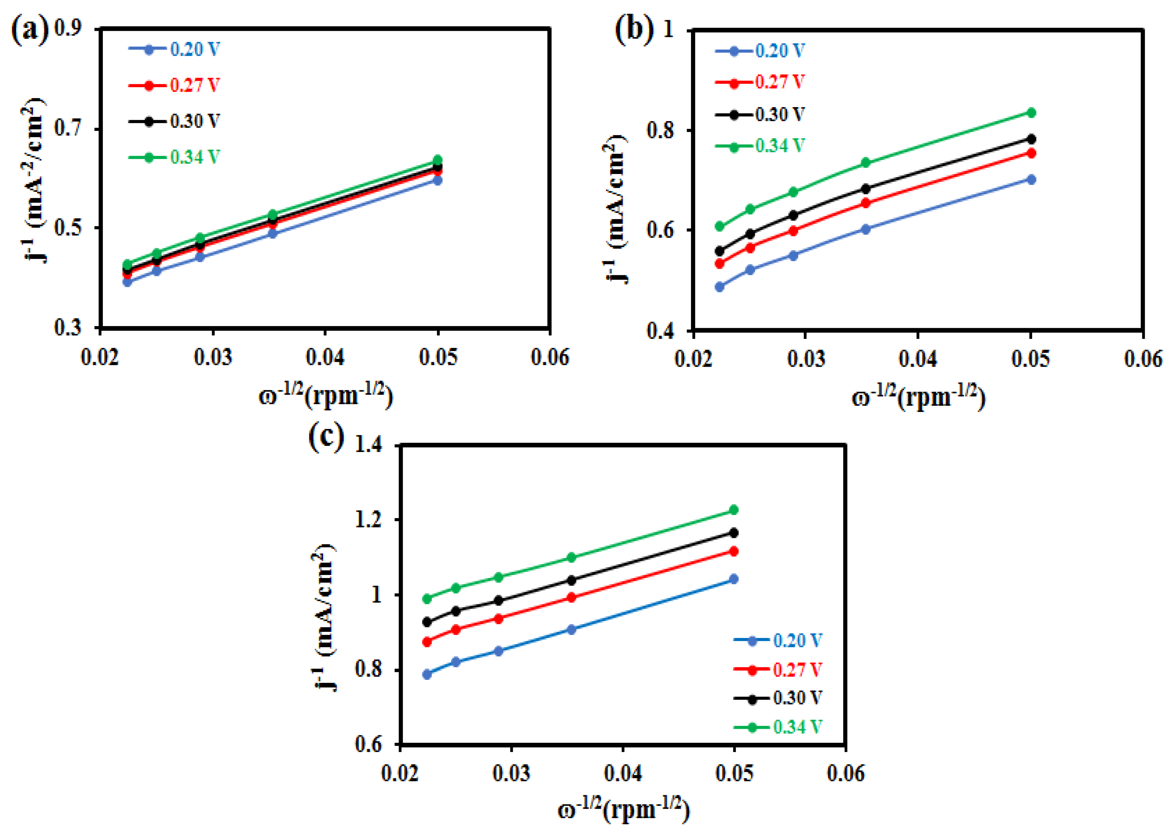 Catalysts 14 00684 g009