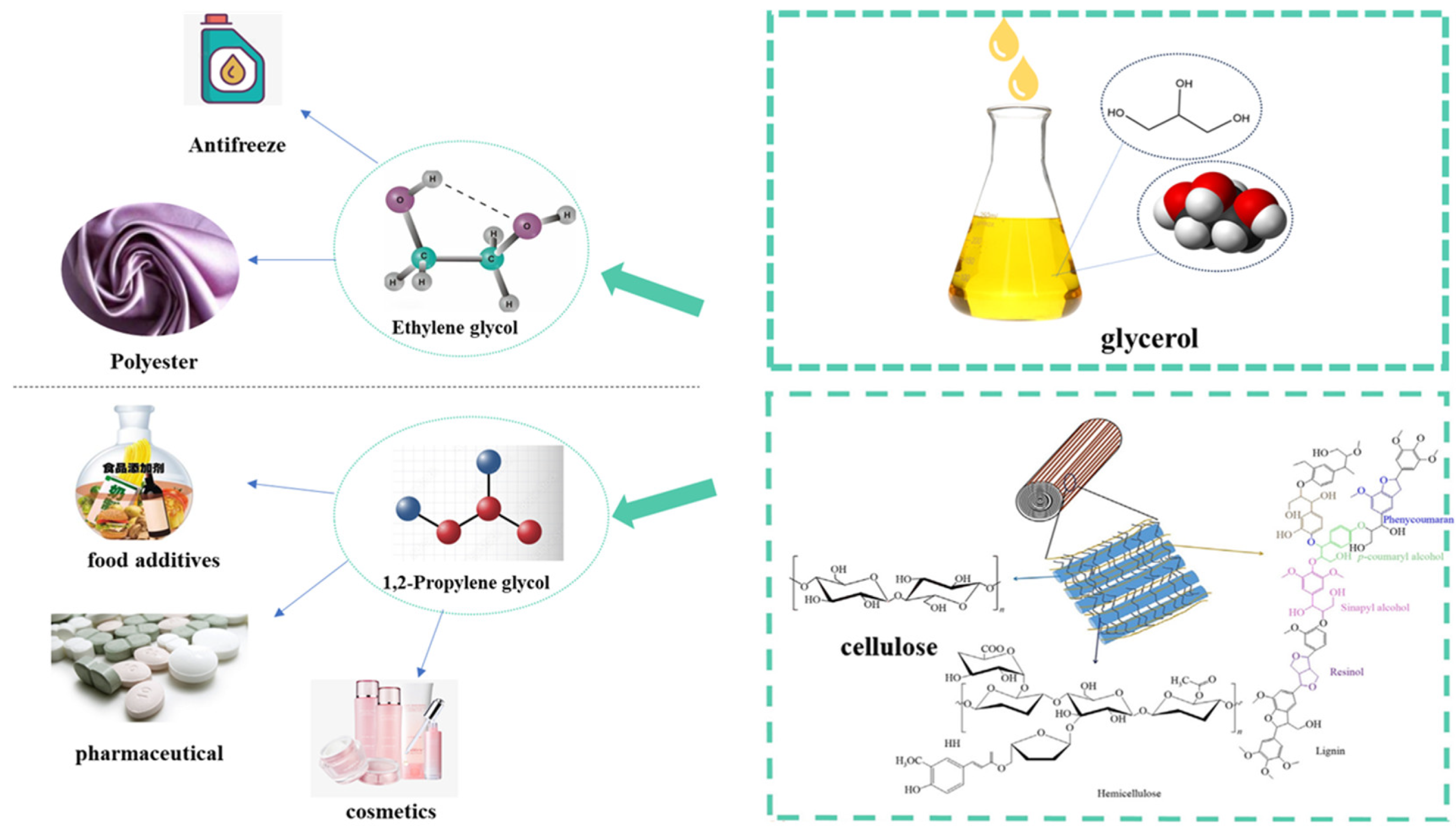Catalysts 14 00685 g001
