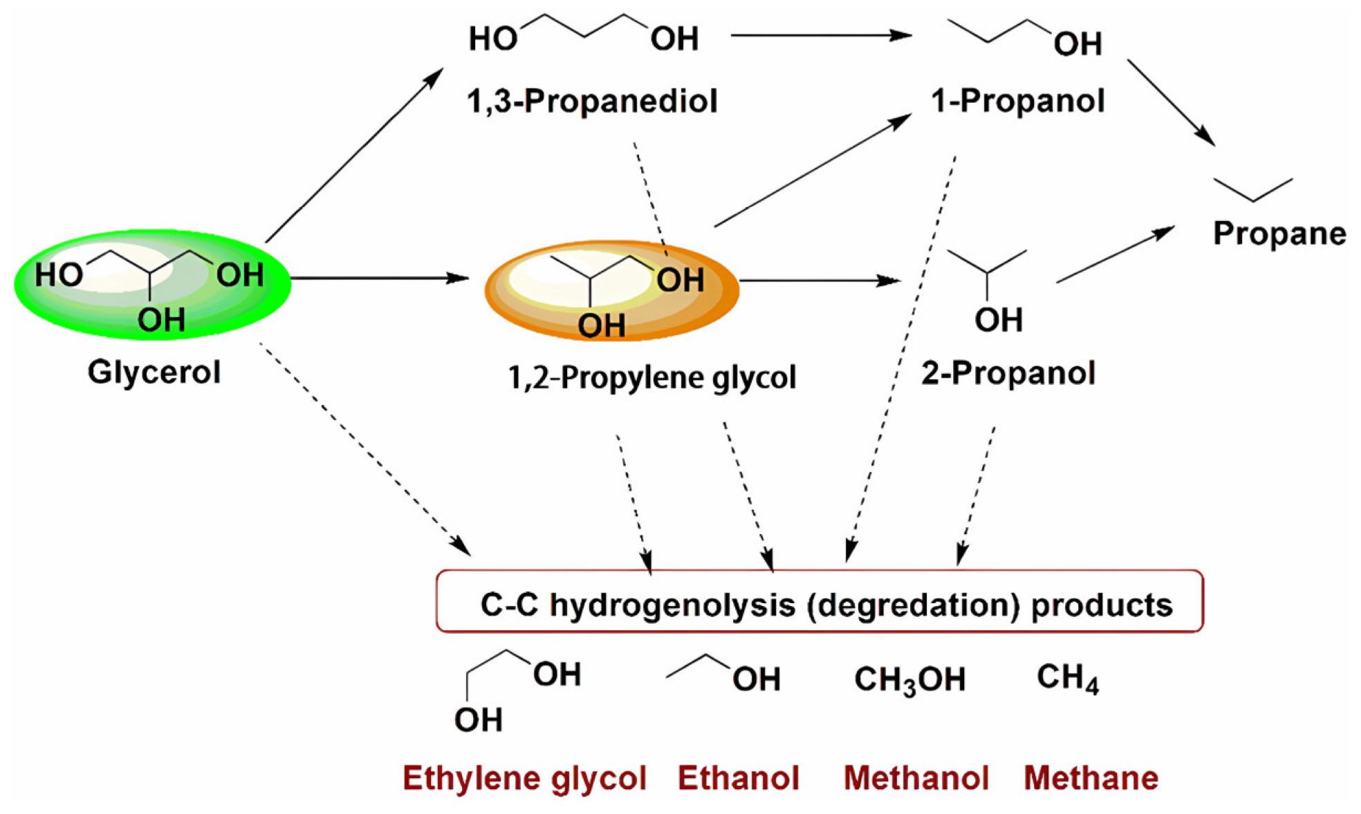 Catalysts 14 00685 g002