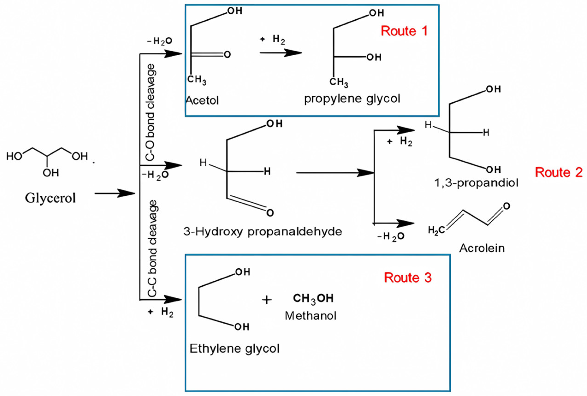 Catalysts 14 00685 g003
