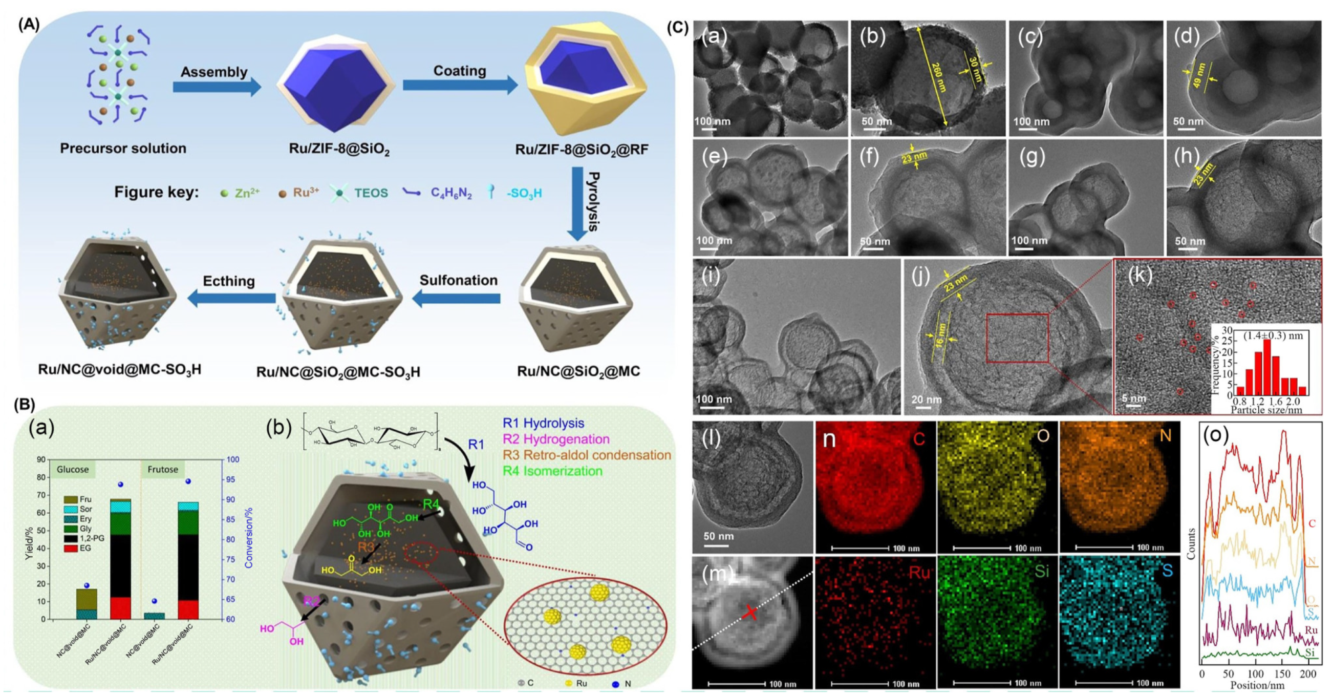 Catalysts 14 00685 g014