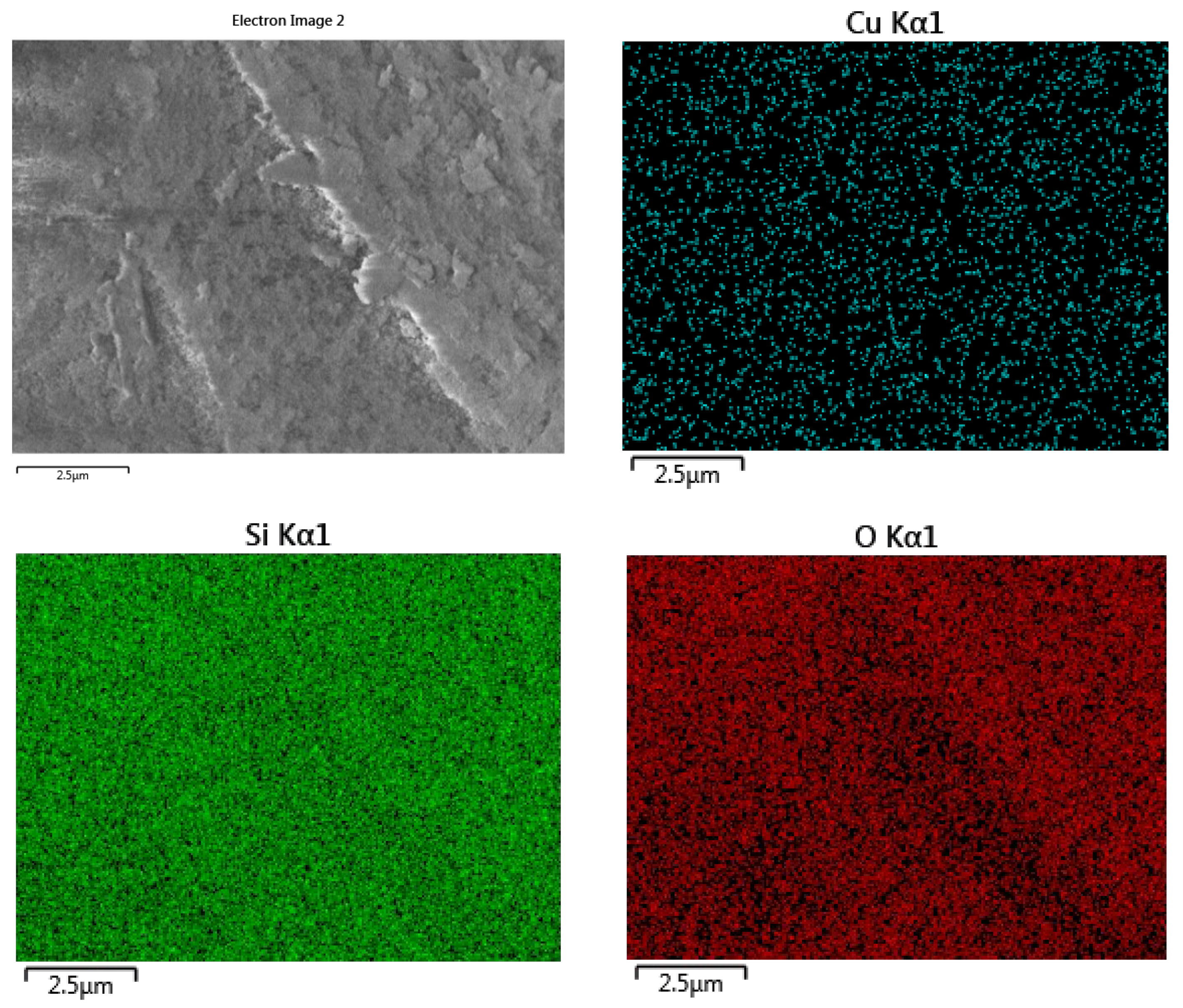 Catalysts 14 00686 g005 Catalysts 14 00686 g005