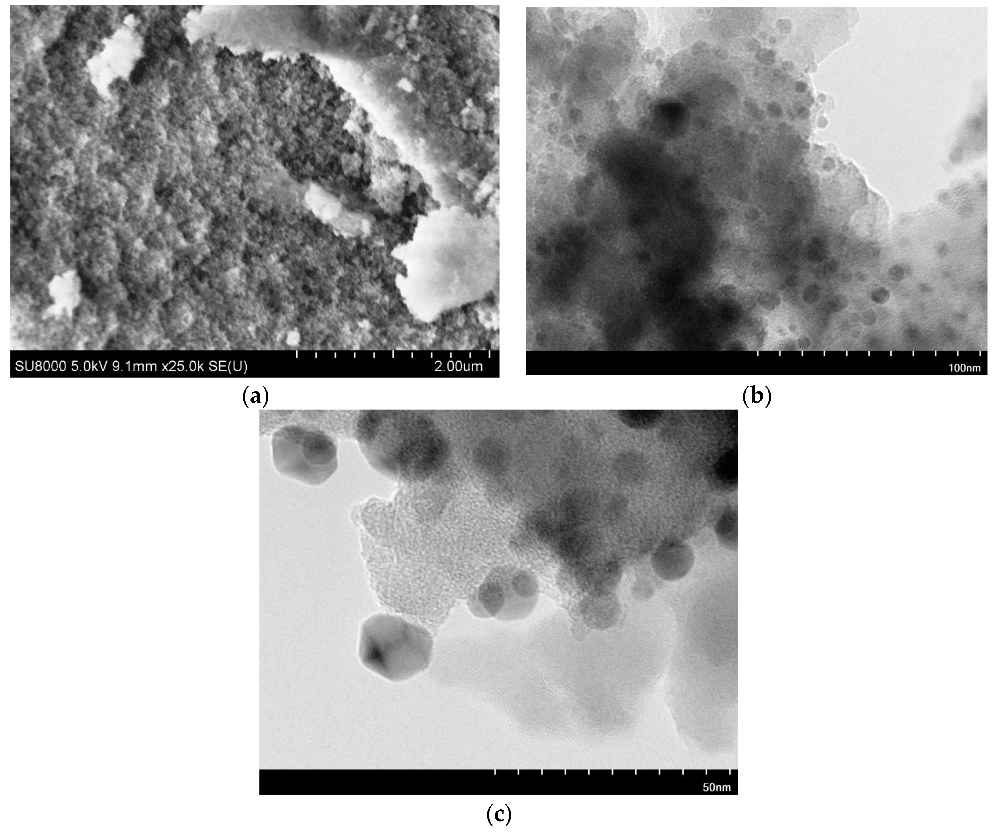 Catalysts 14 00686 g006 Catalysts 14 00686 g006