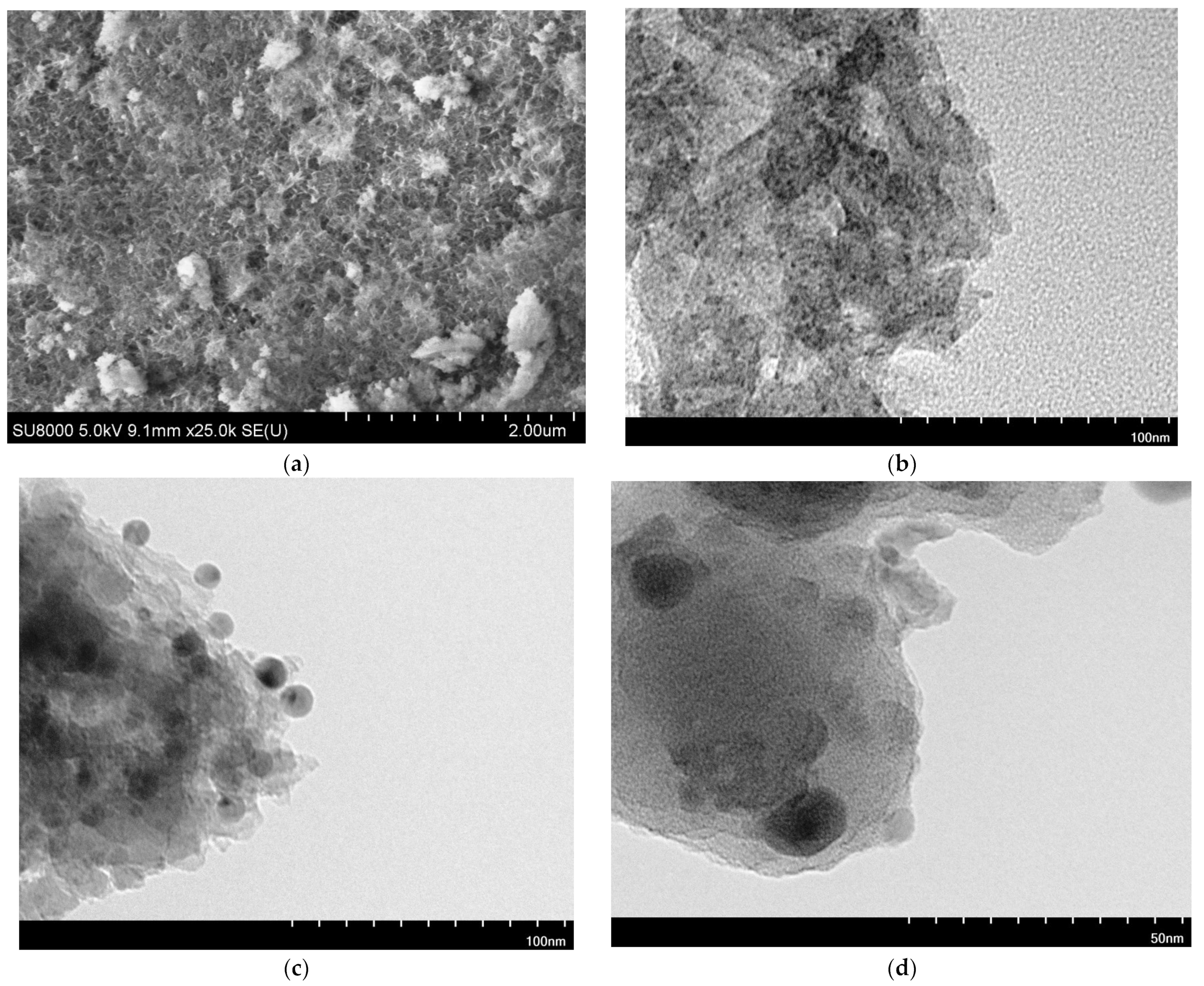 Catalysts 14 00686 g007 Catalysts 14 00686 g007