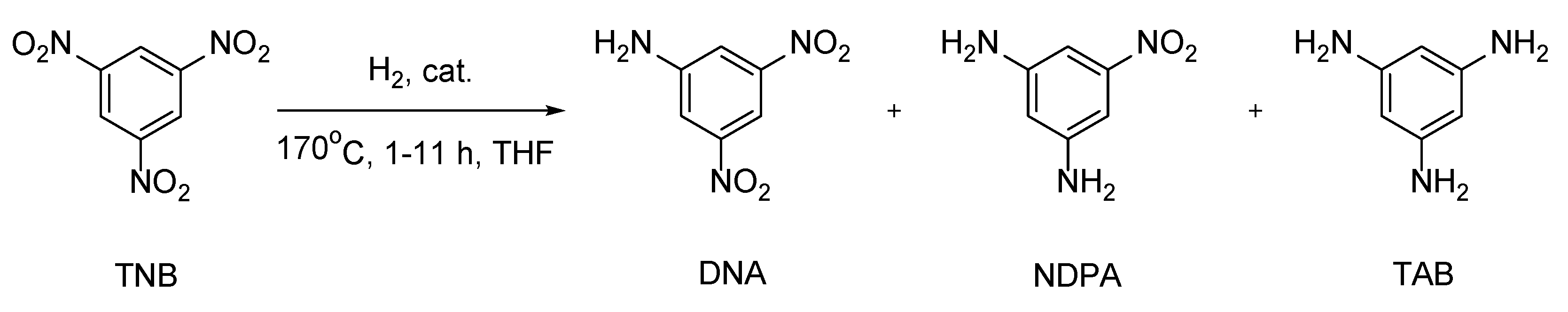 Catalysts 14 00686 g011 Catalysts 14 00686 g011