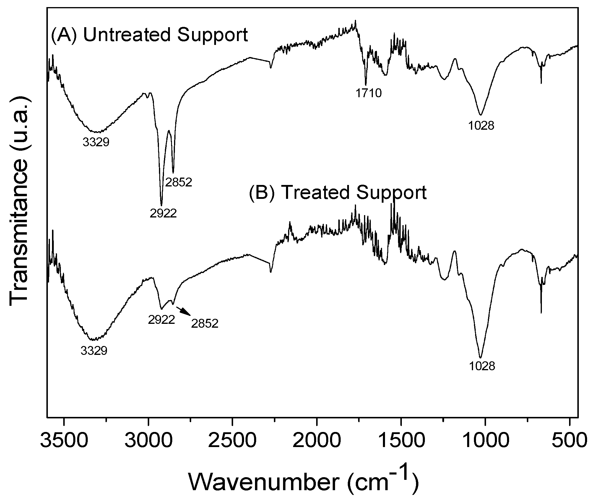 Catalysts 14 00693 g002