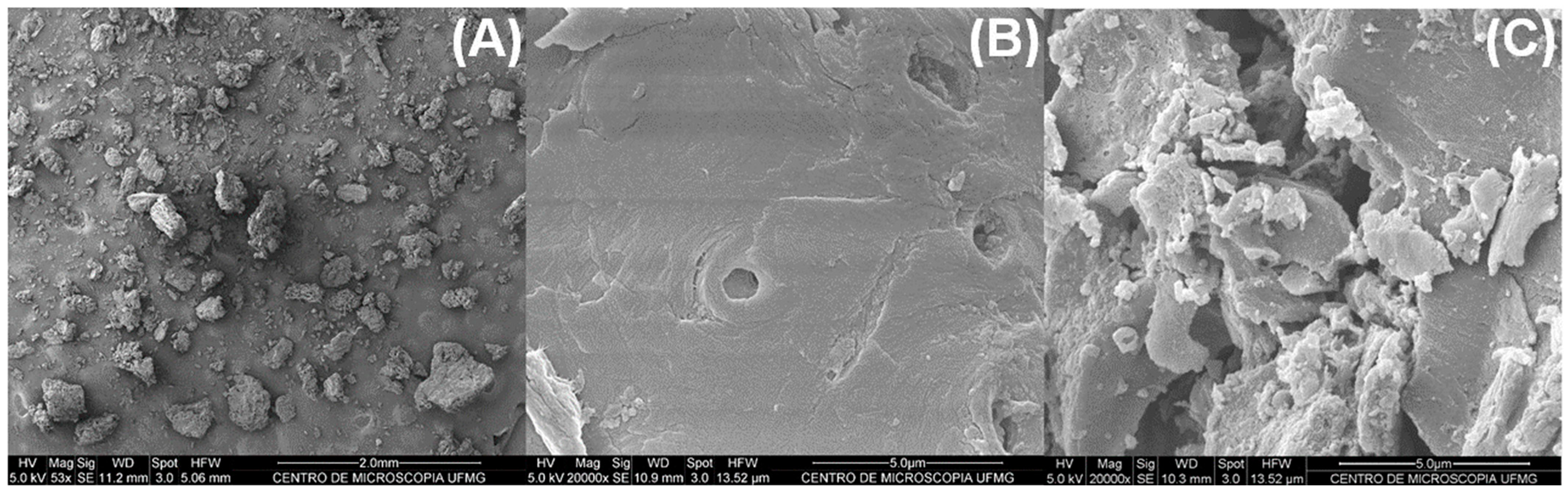 Catalysts 14 00693 g004