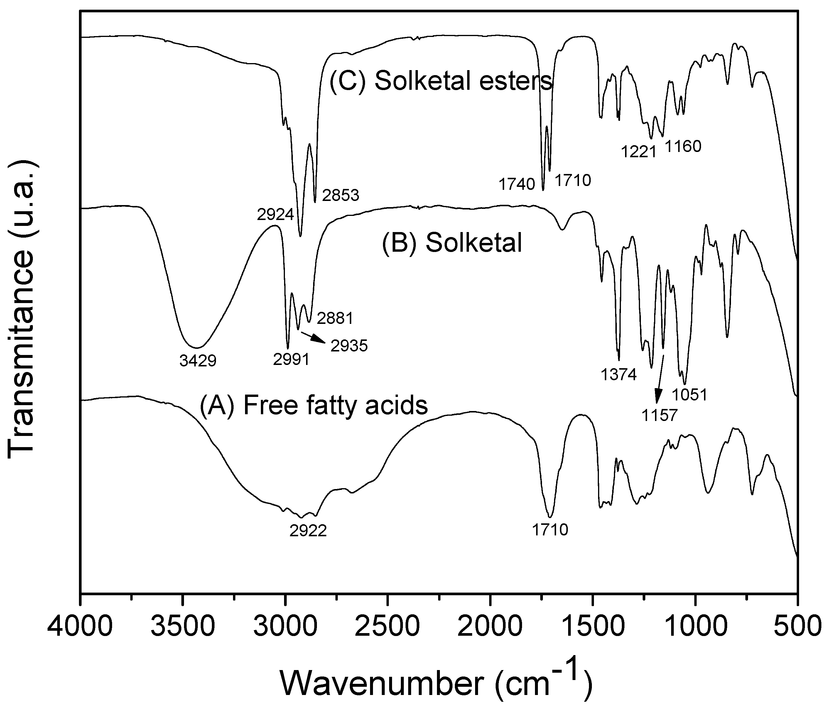 Catalysts 14 00693 g007