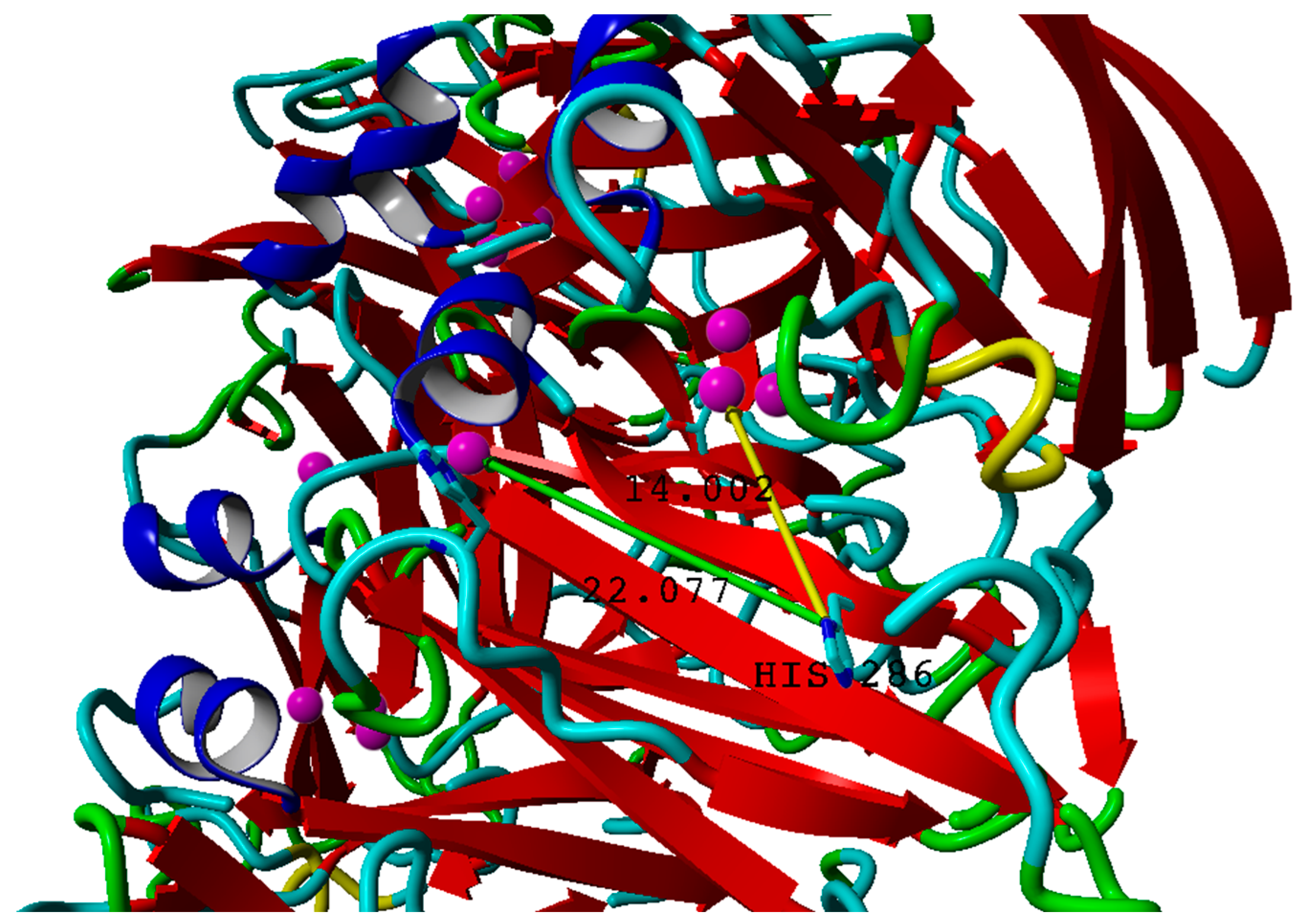 Catalysts 14 00694 g002