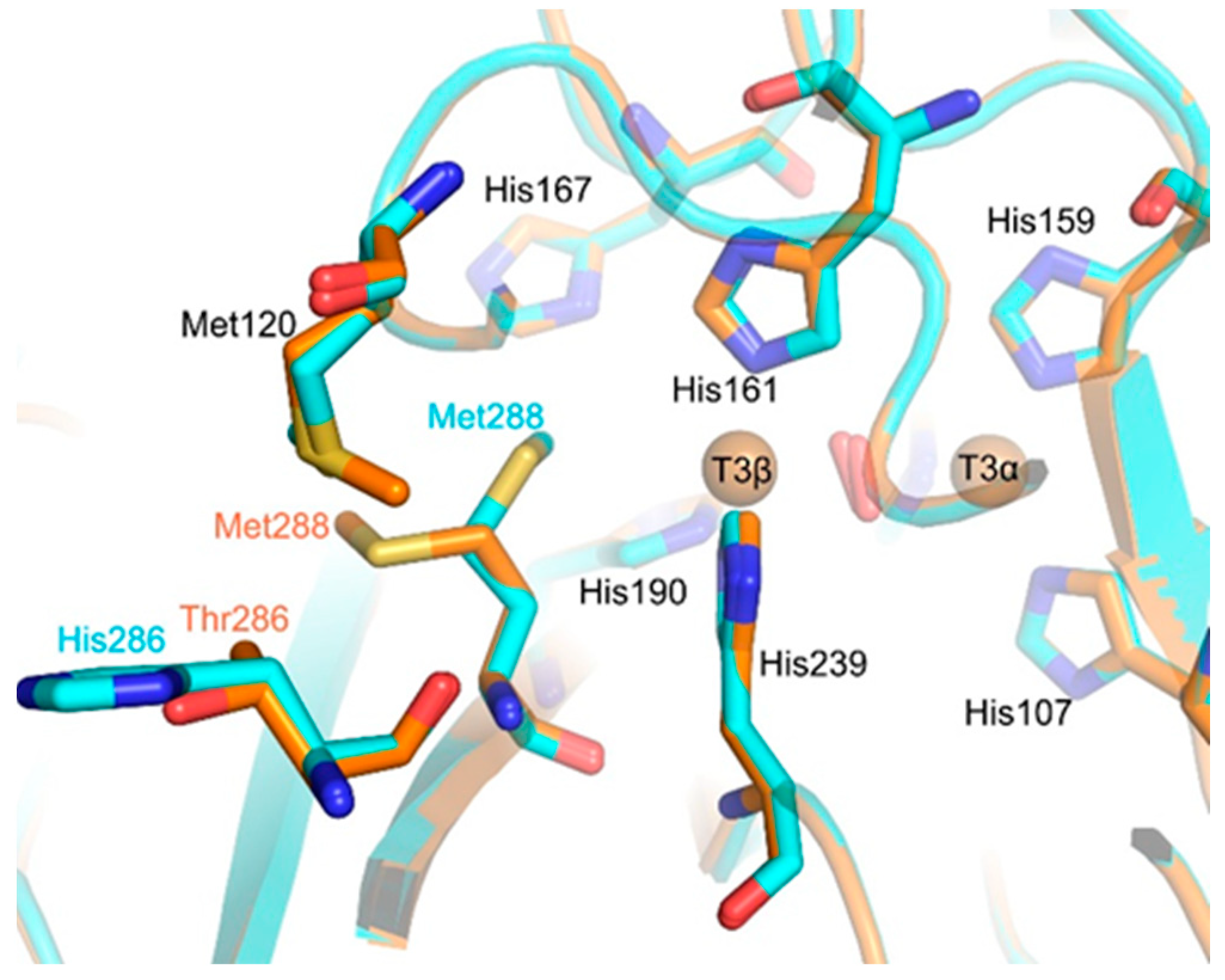 Catalysts 14 00694 g009
