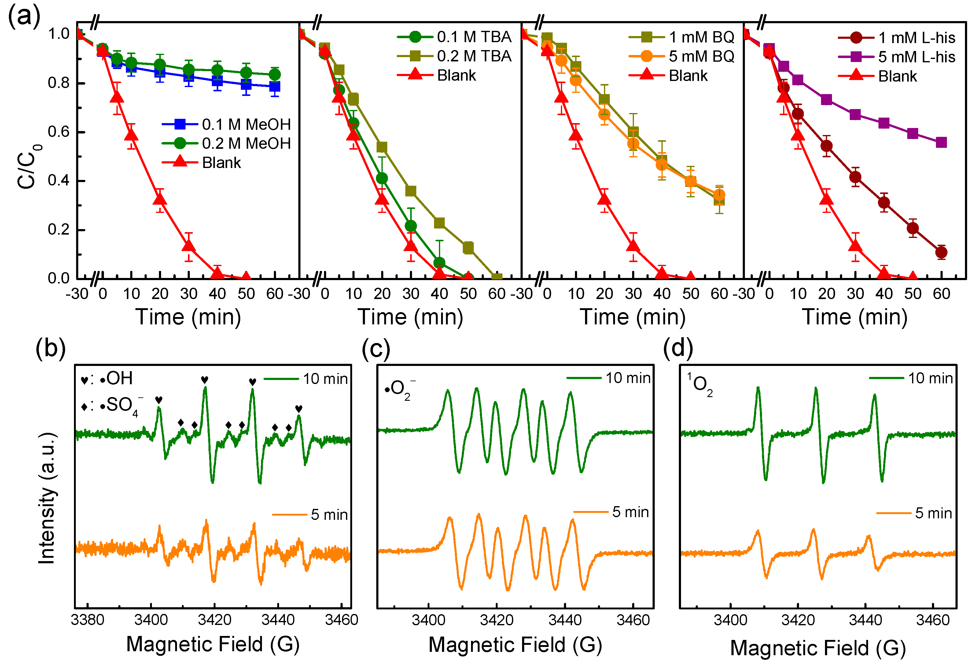 Catalysts 14 00695 g006
