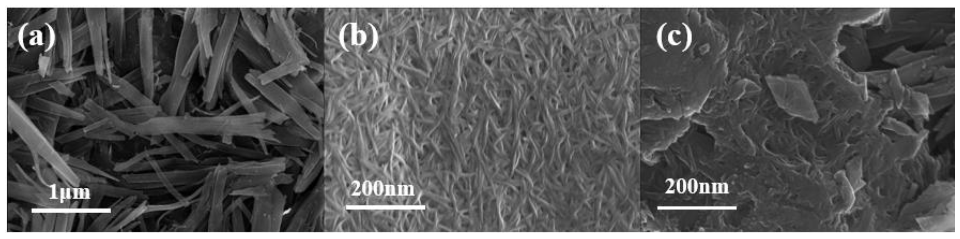 Catalysts 14 00696 g002