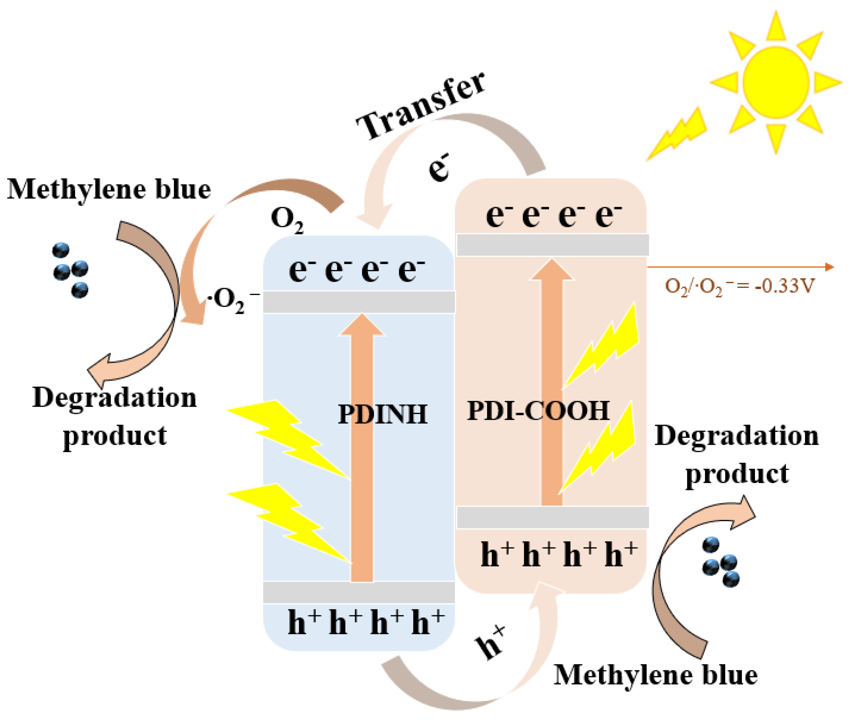 Catalysts 14 00696 g008