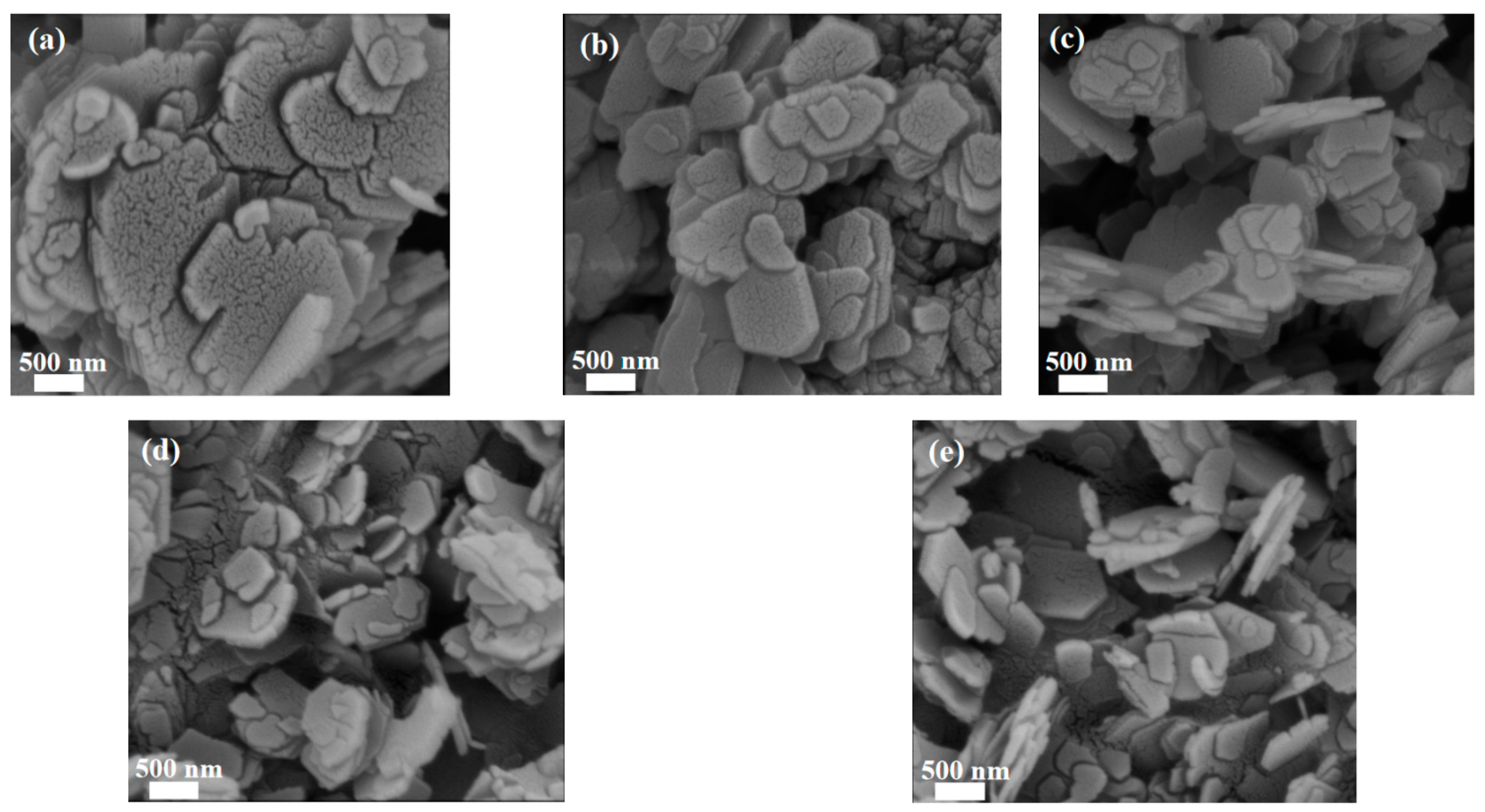 Catalysts 14 00697 g002
