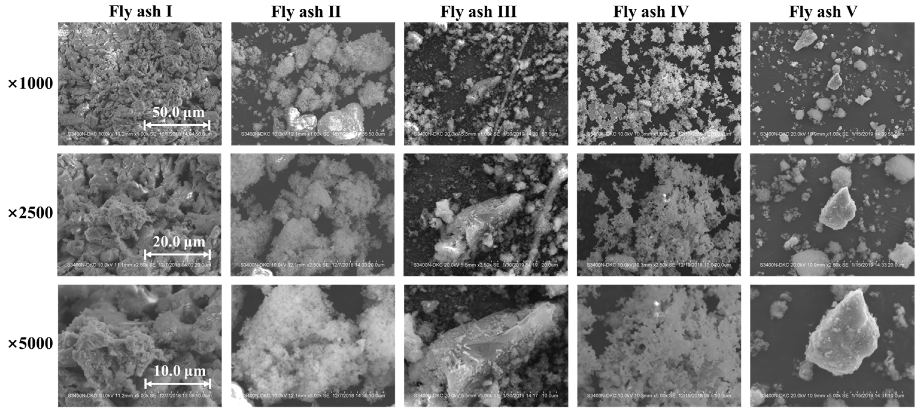 Catalysts 14 00698 g001